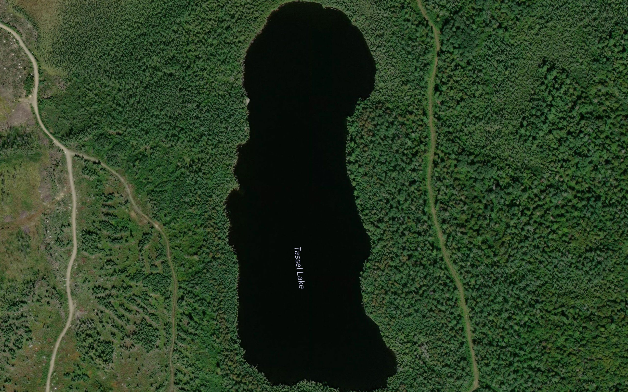 Tassel Lake