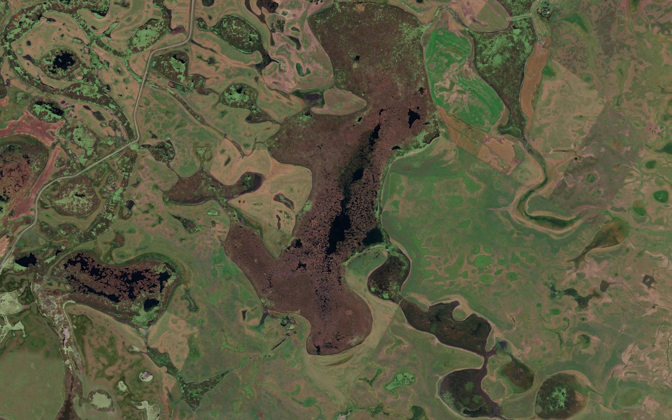 Laguna La Barrancosa