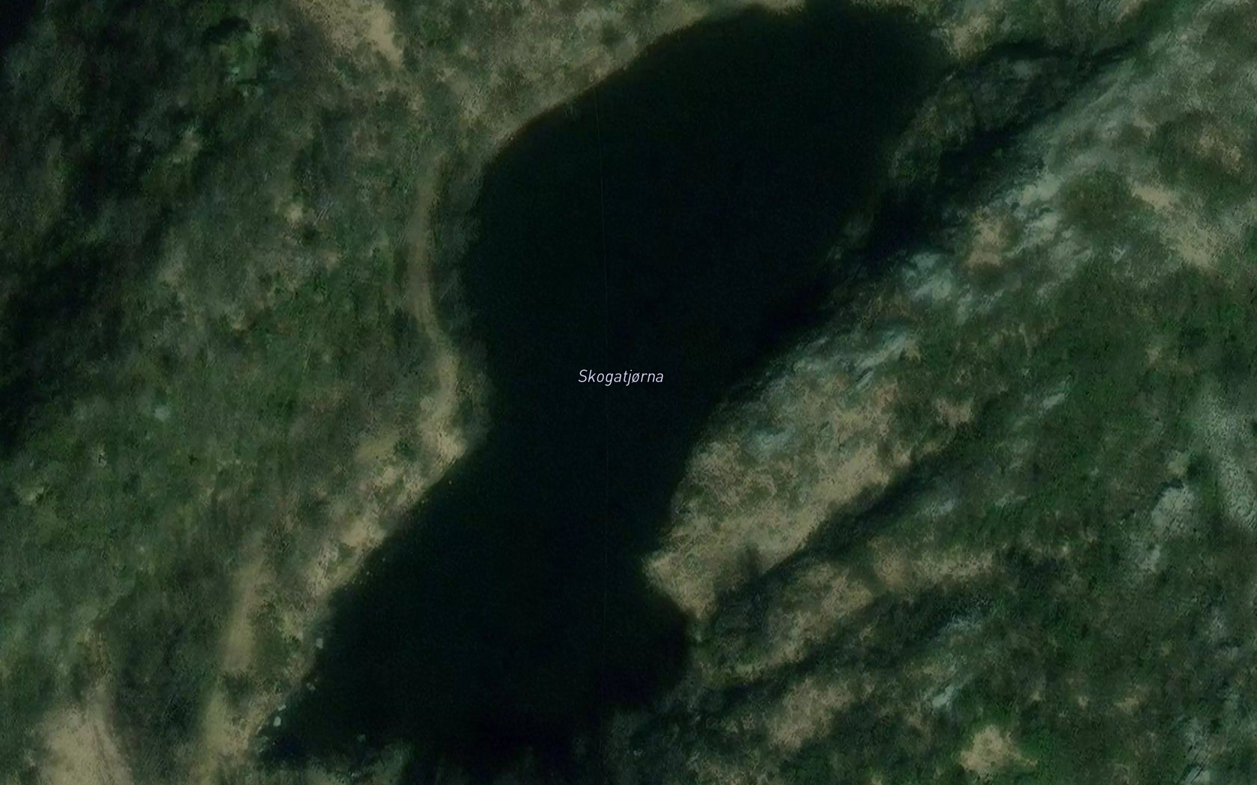 Skogatjorna