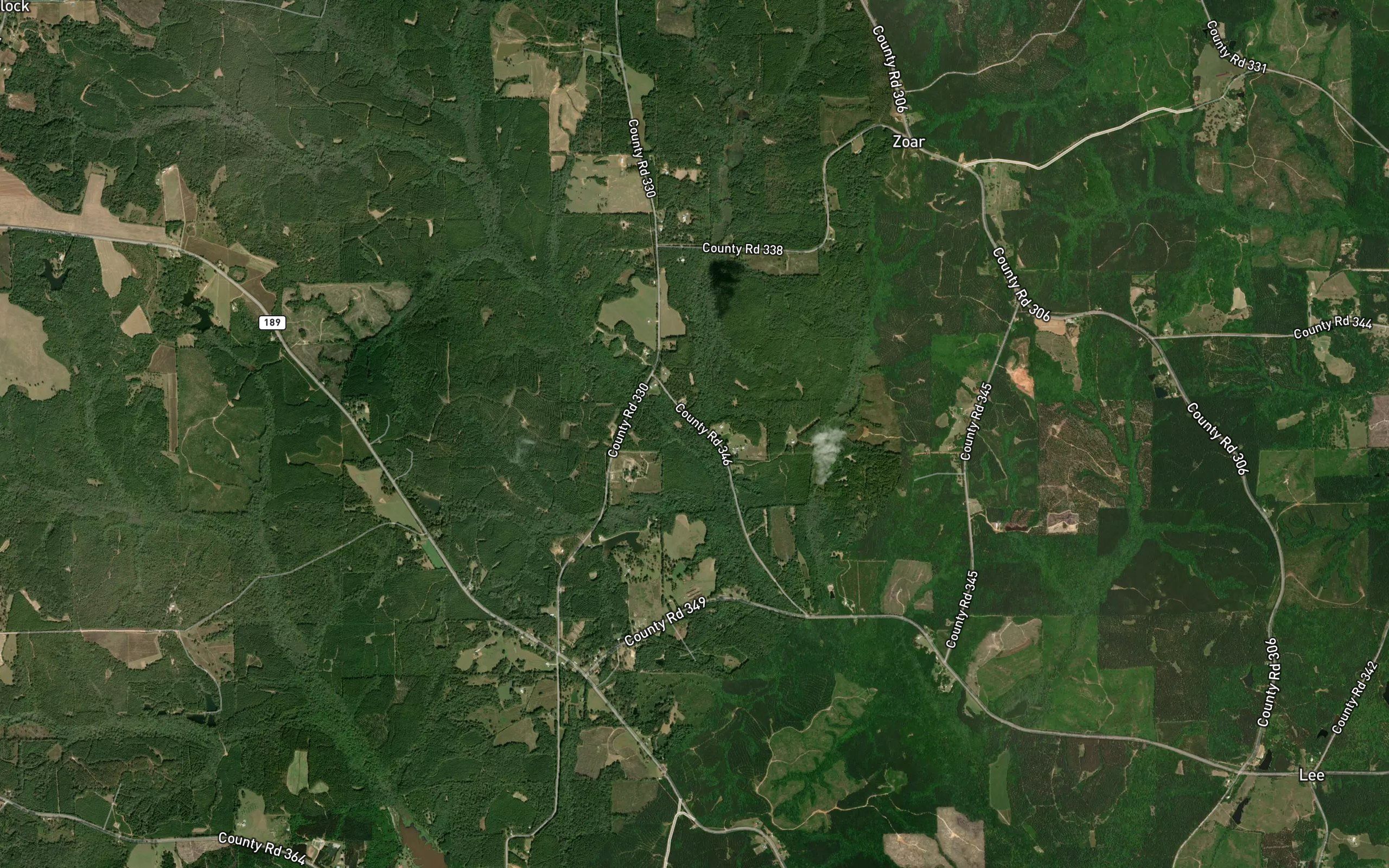 Reedy Creek