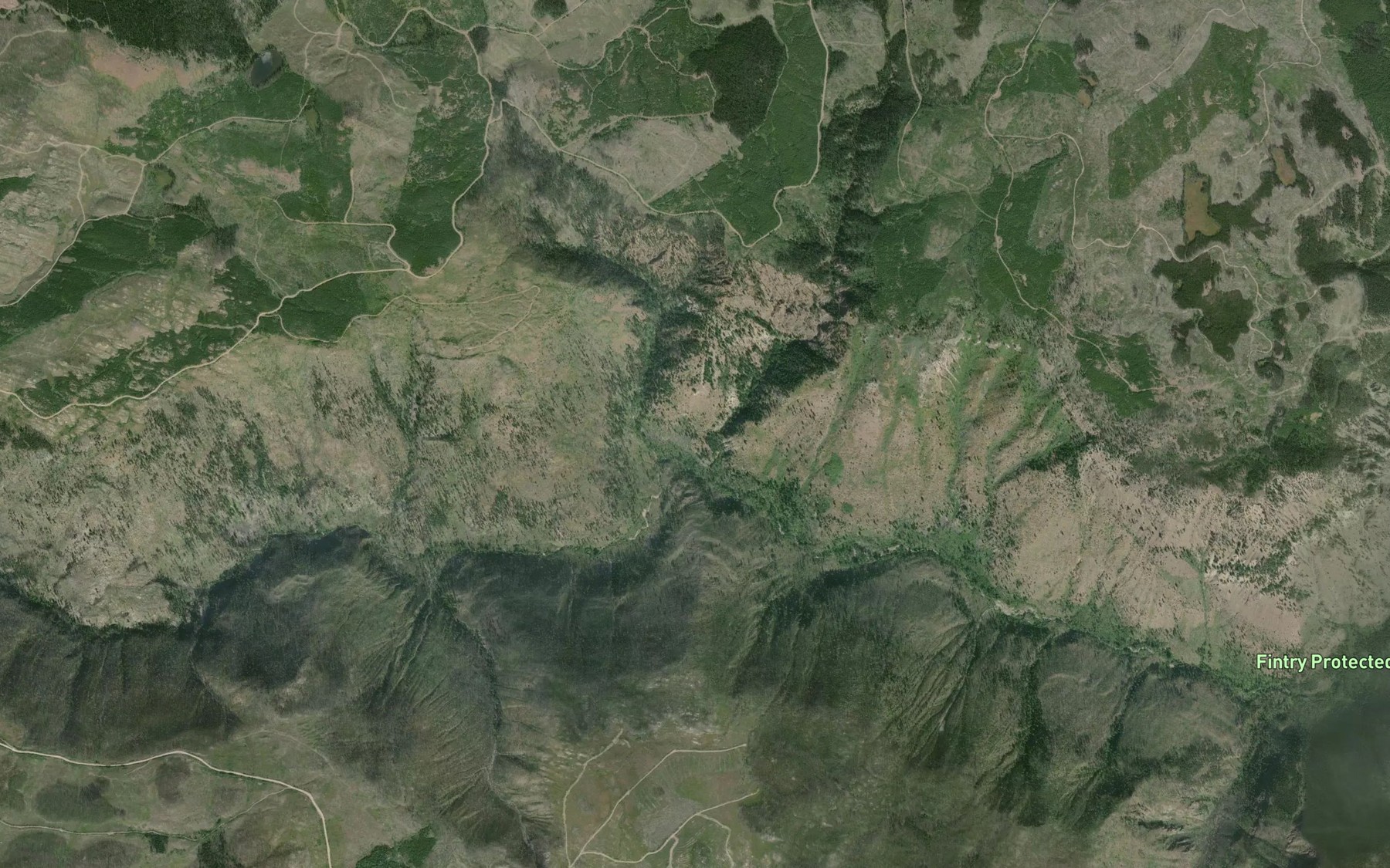 Satellite map of the Young Creek