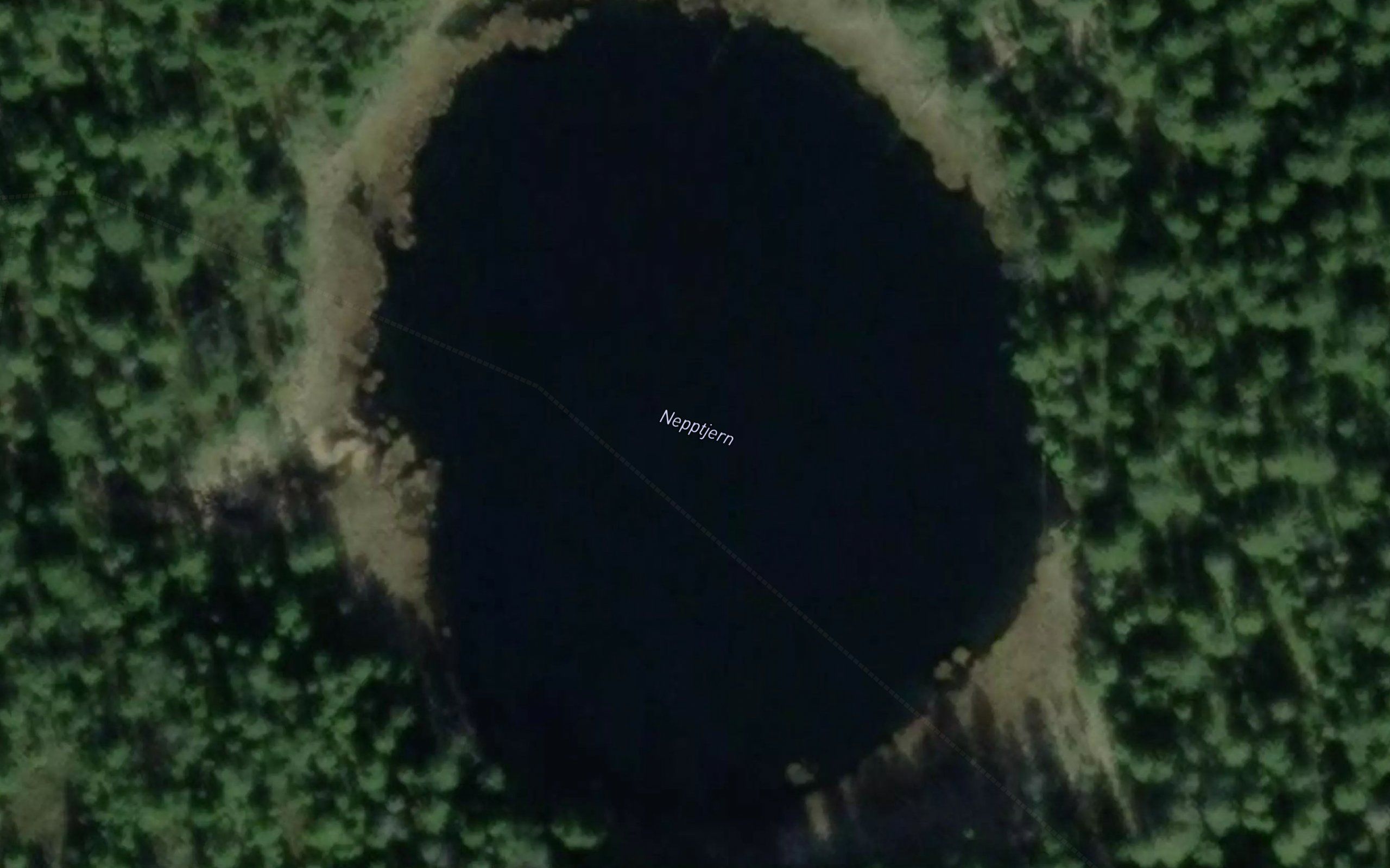 Nepptjern