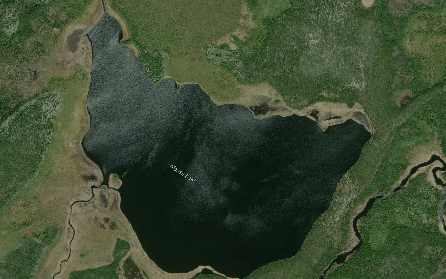 Satellite map of the Moose Lake
