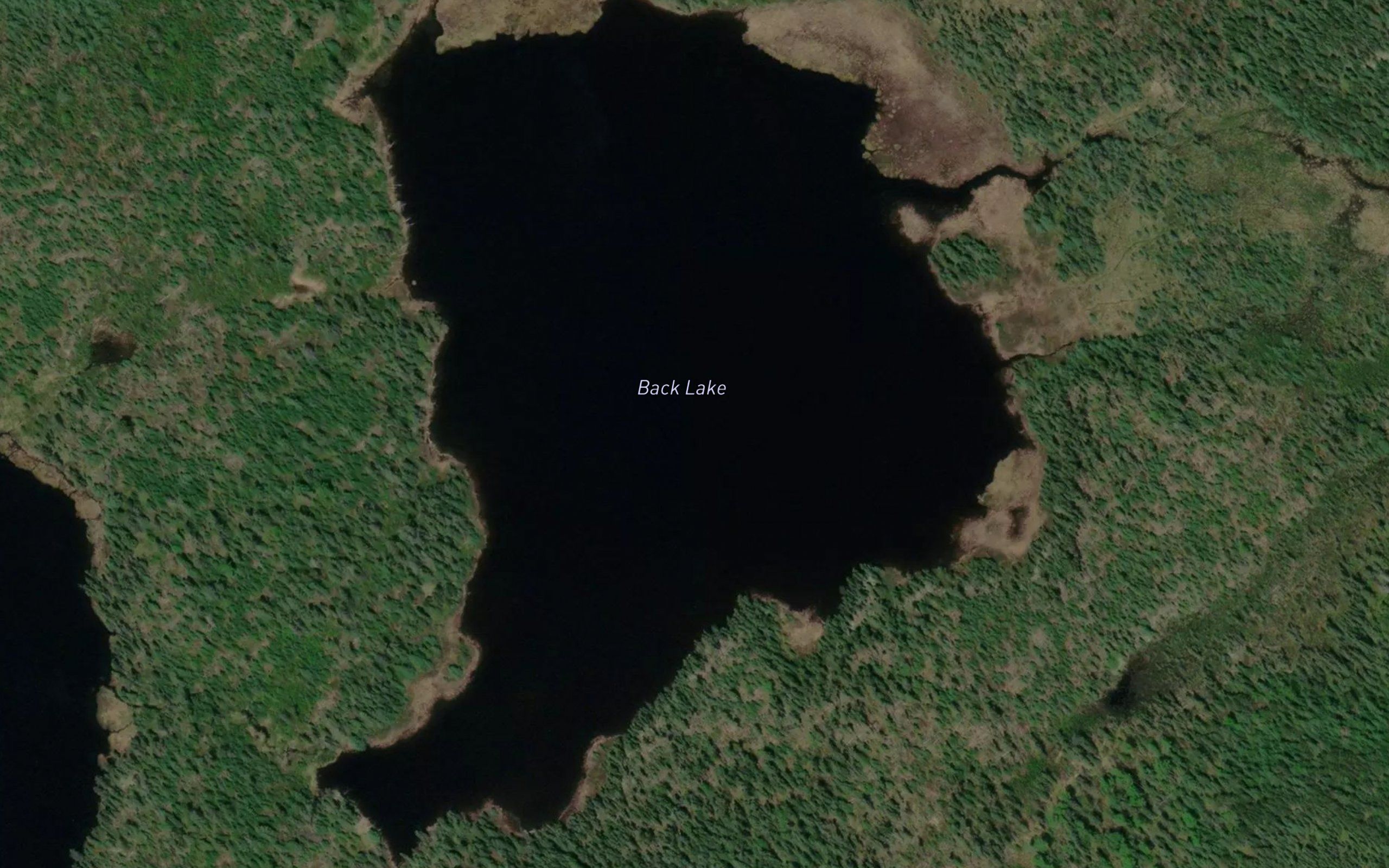 Back Lake