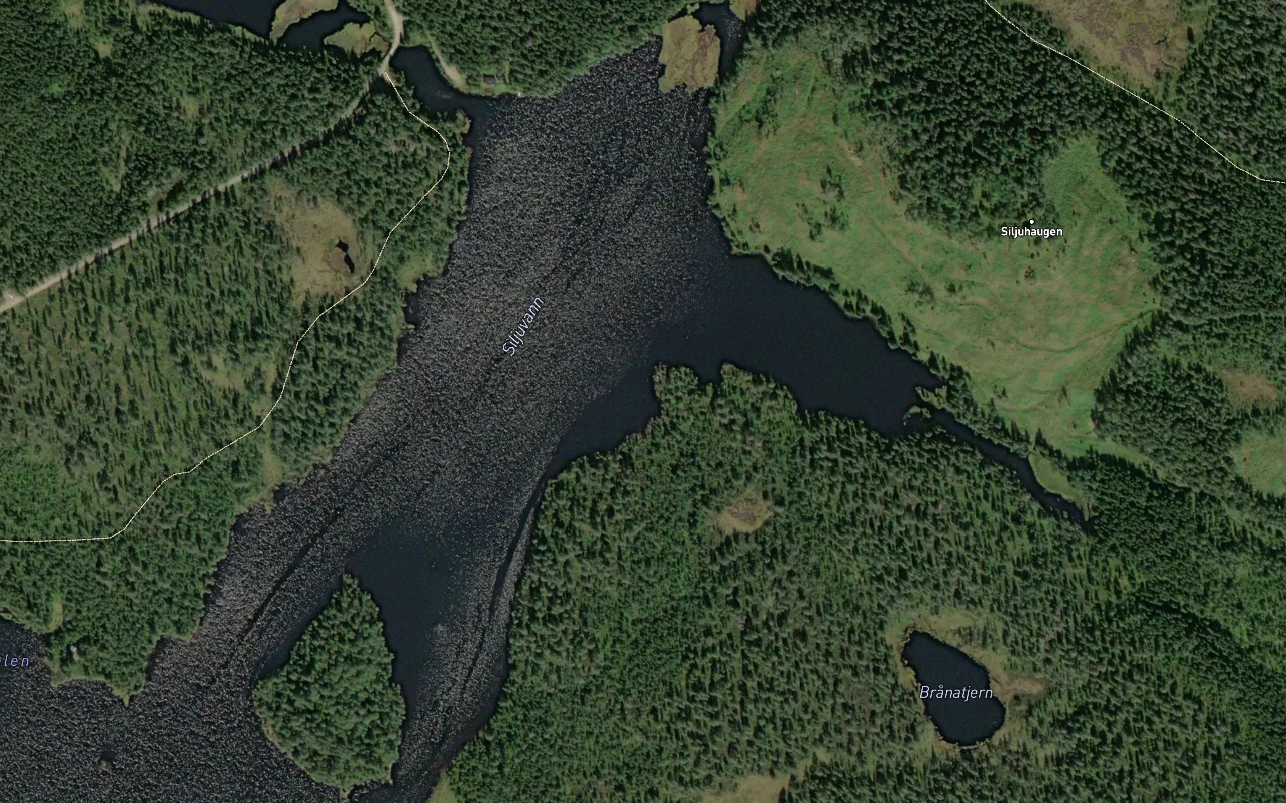 Siljuvannet