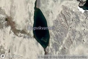 Djupvikvannet