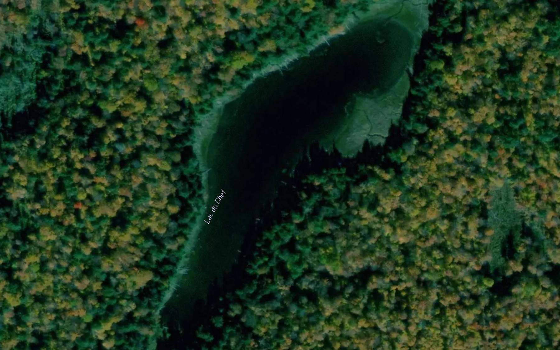 Satellite map of the Lac du Chef