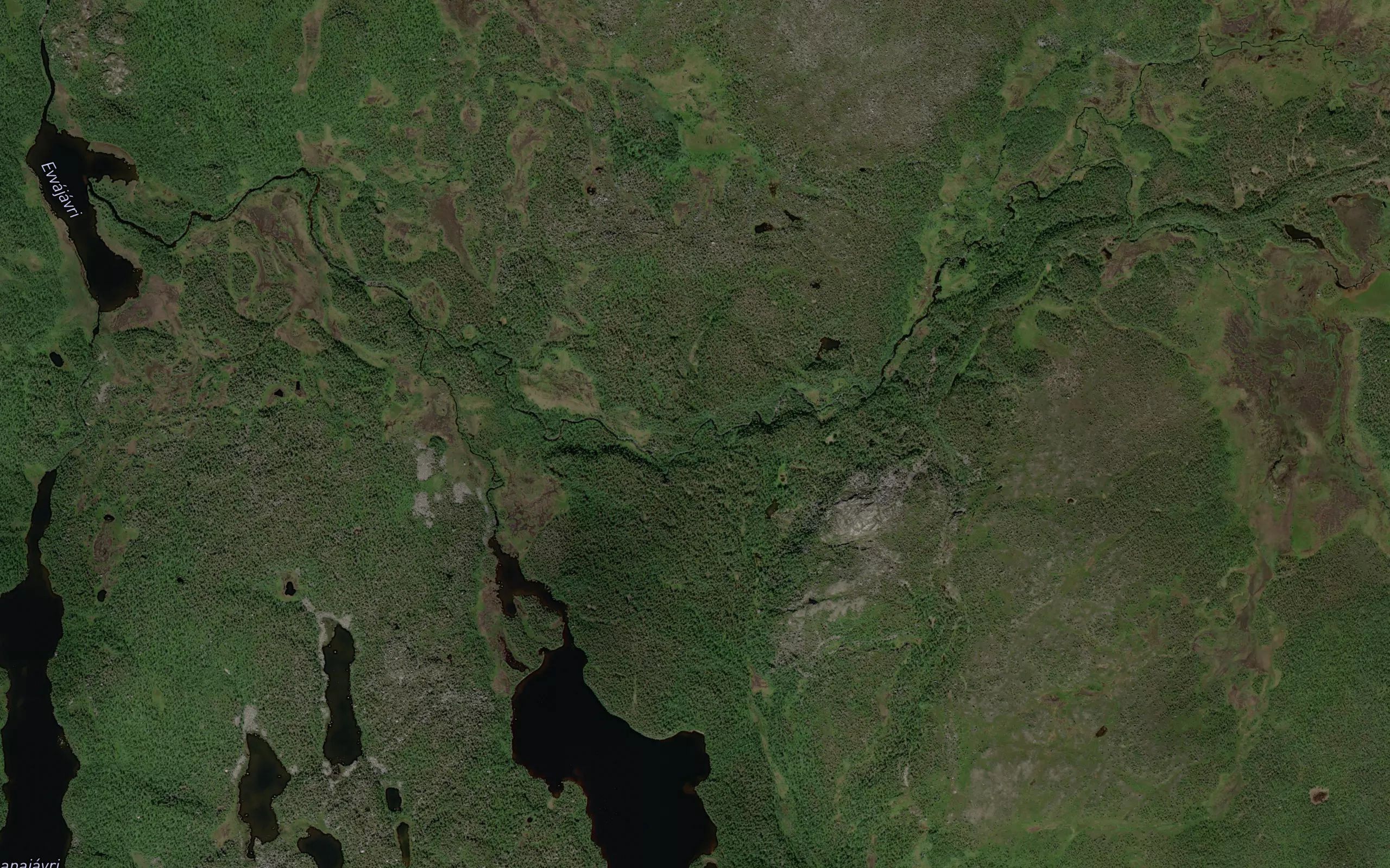 Viribekken