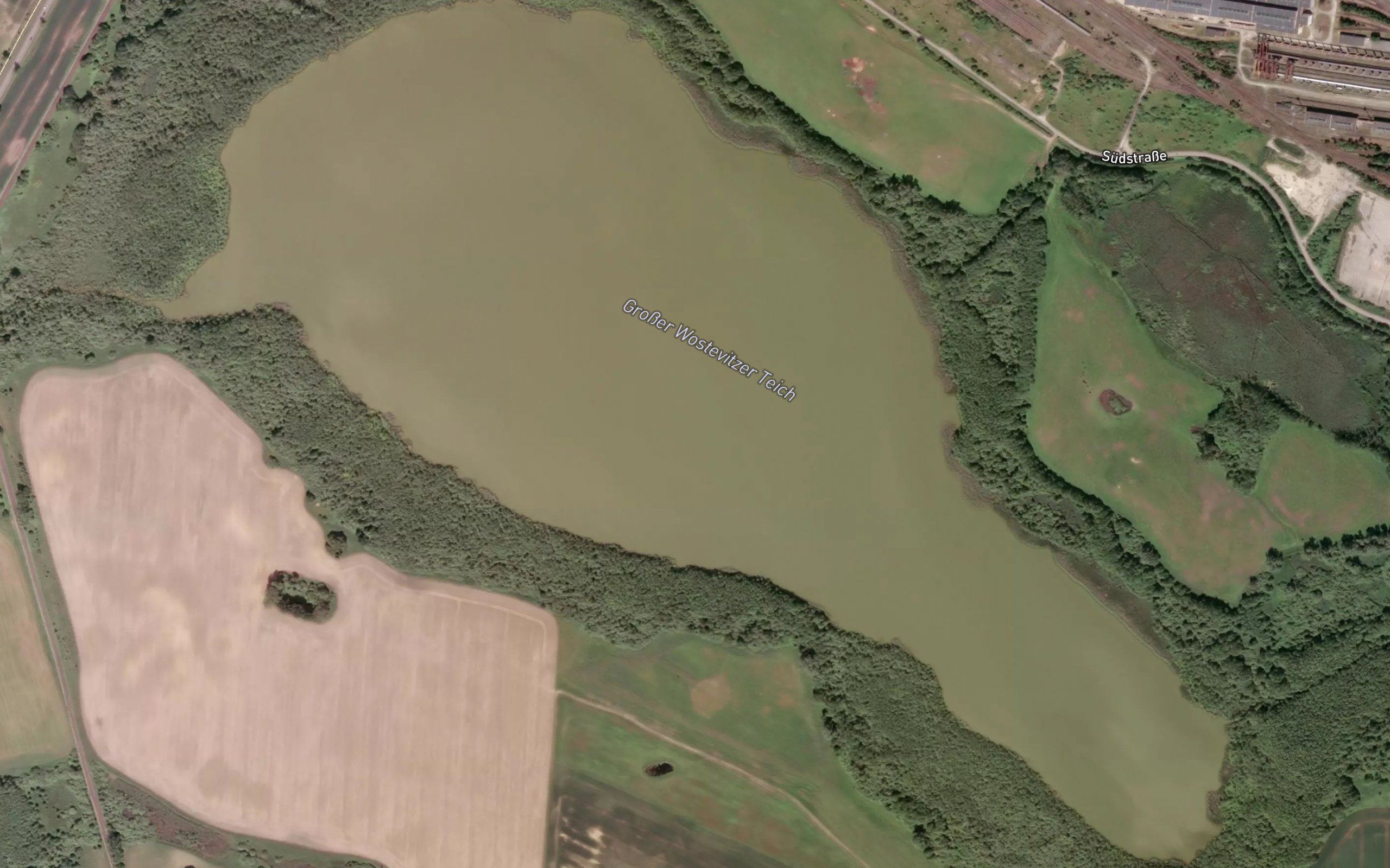 Grosser Wostevitzer Teich