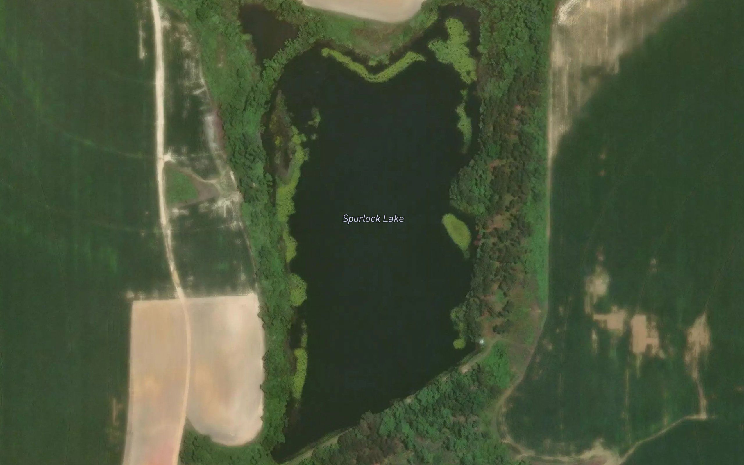 Spurlock Lake