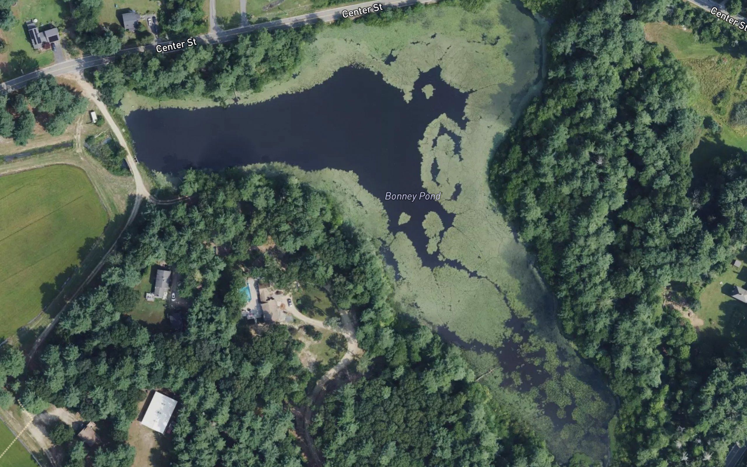 Bonney Pond