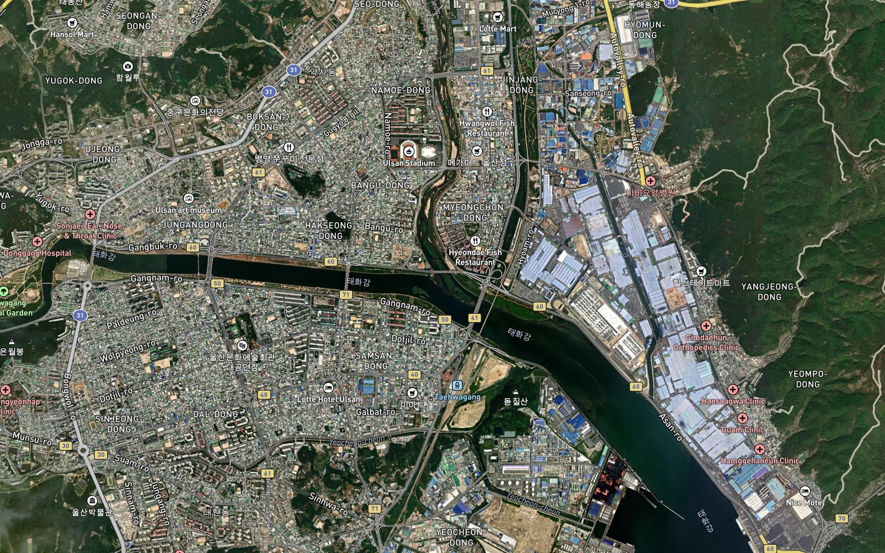 Satellite map of the Dongcheongang
