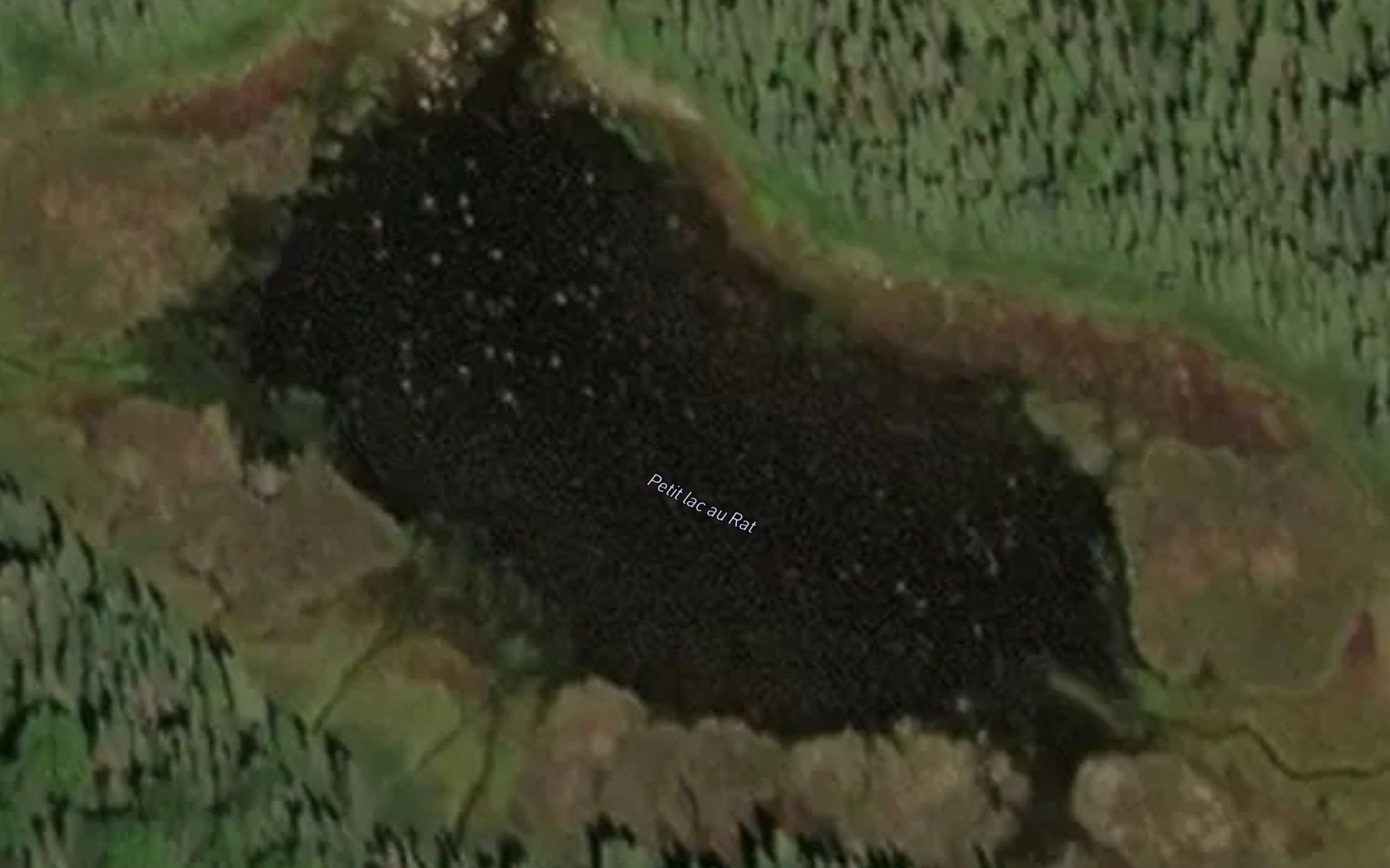 Petit lac au Rat
