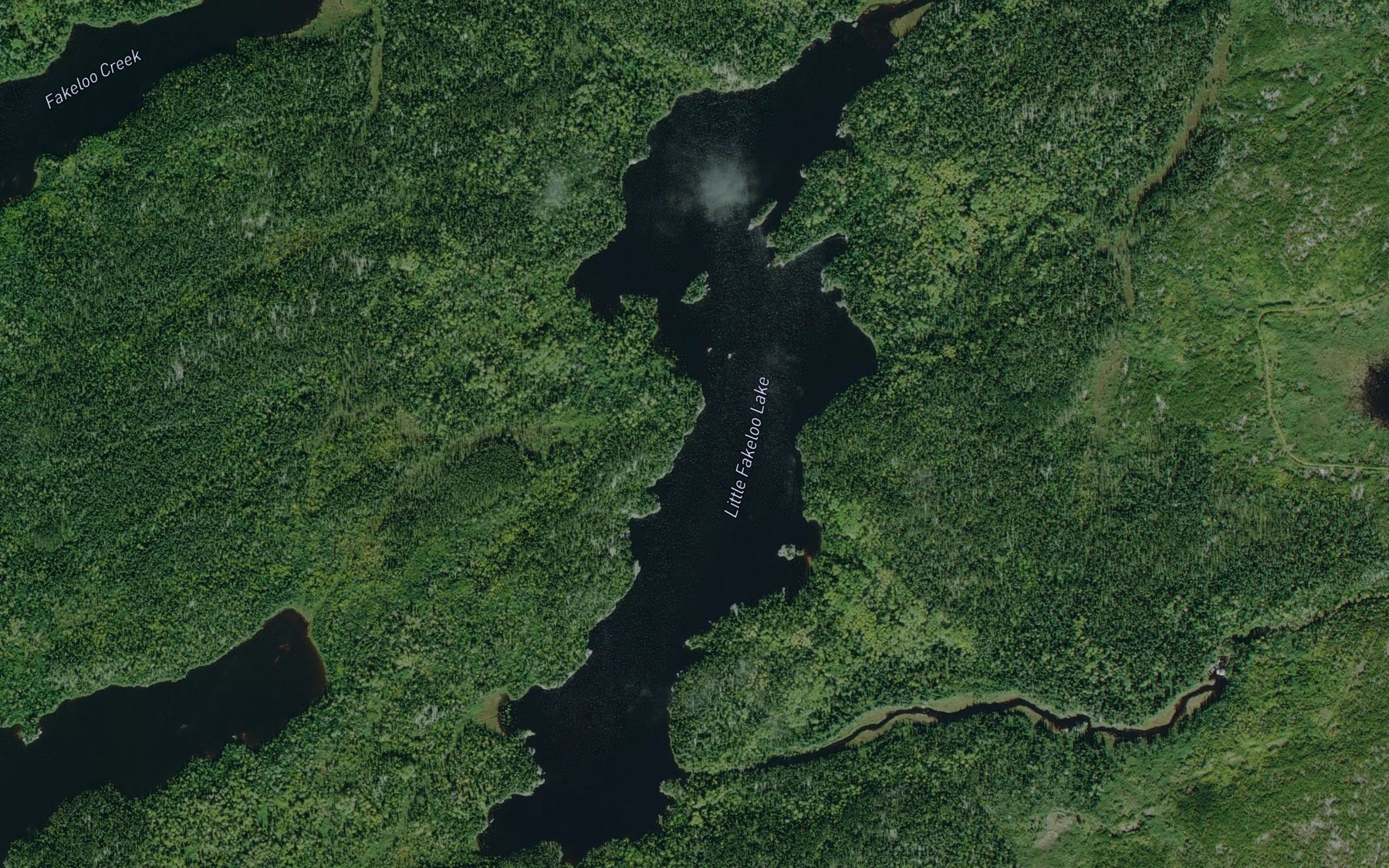 Satellite map of the Little Fakeloo Lake