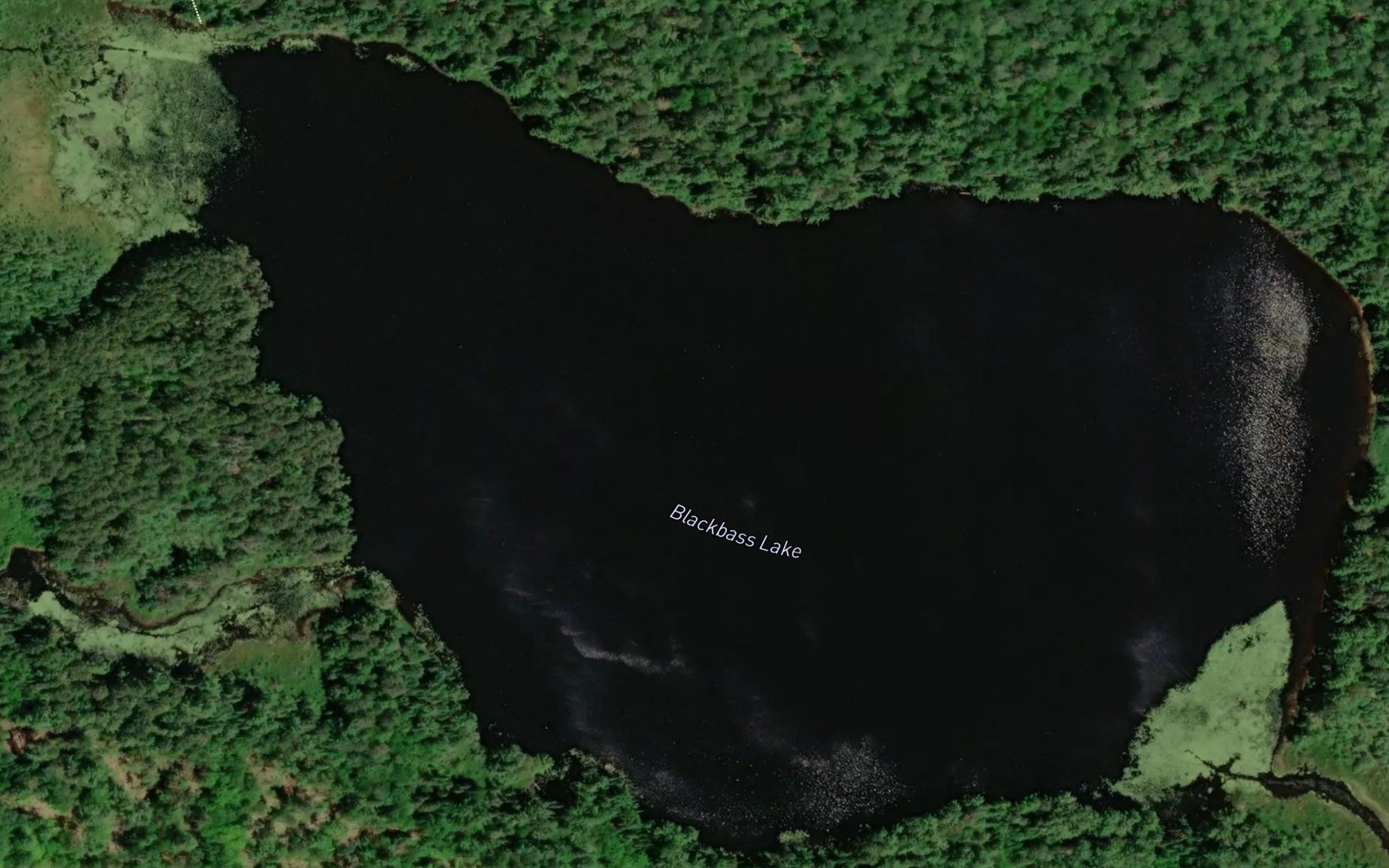 Satellite map of the Blackbass Lake