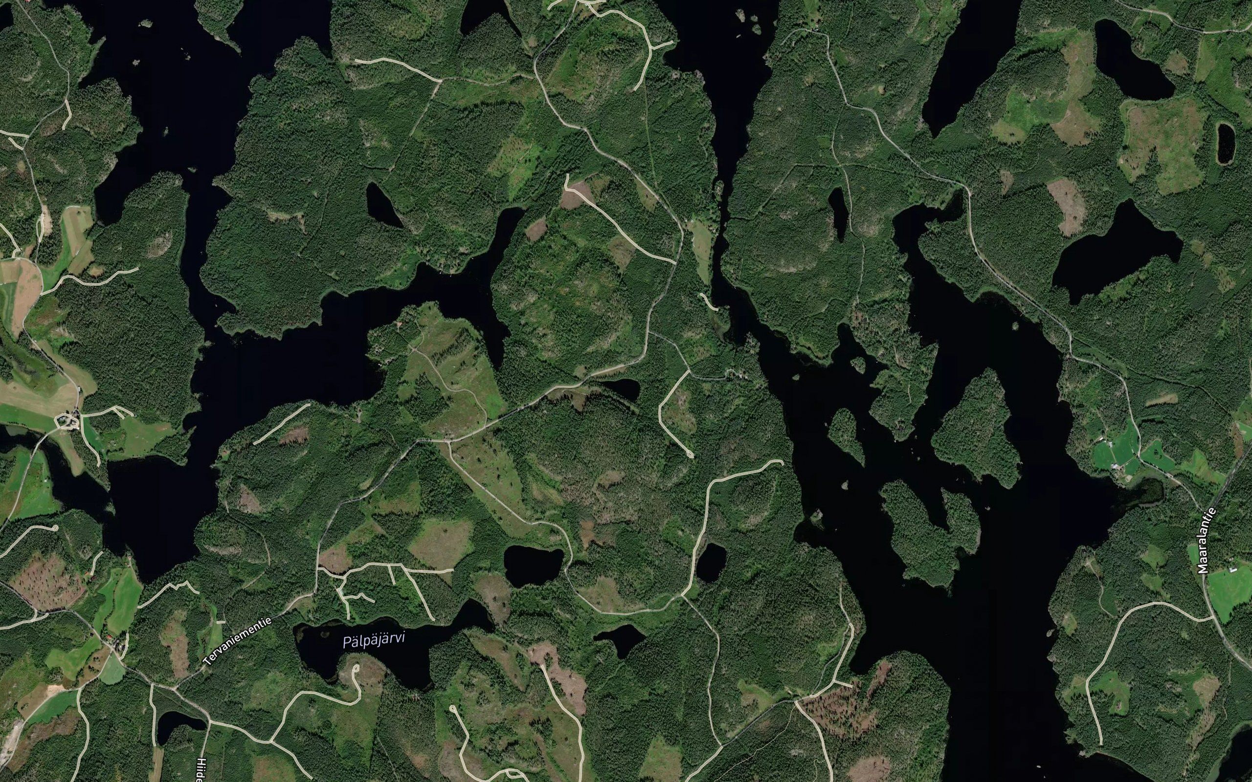 Parkonlampi