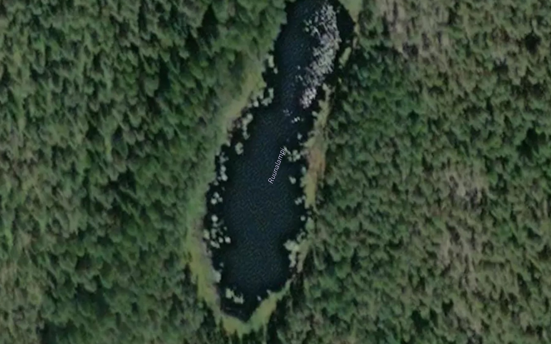 Satellite map of the Ruunalampi