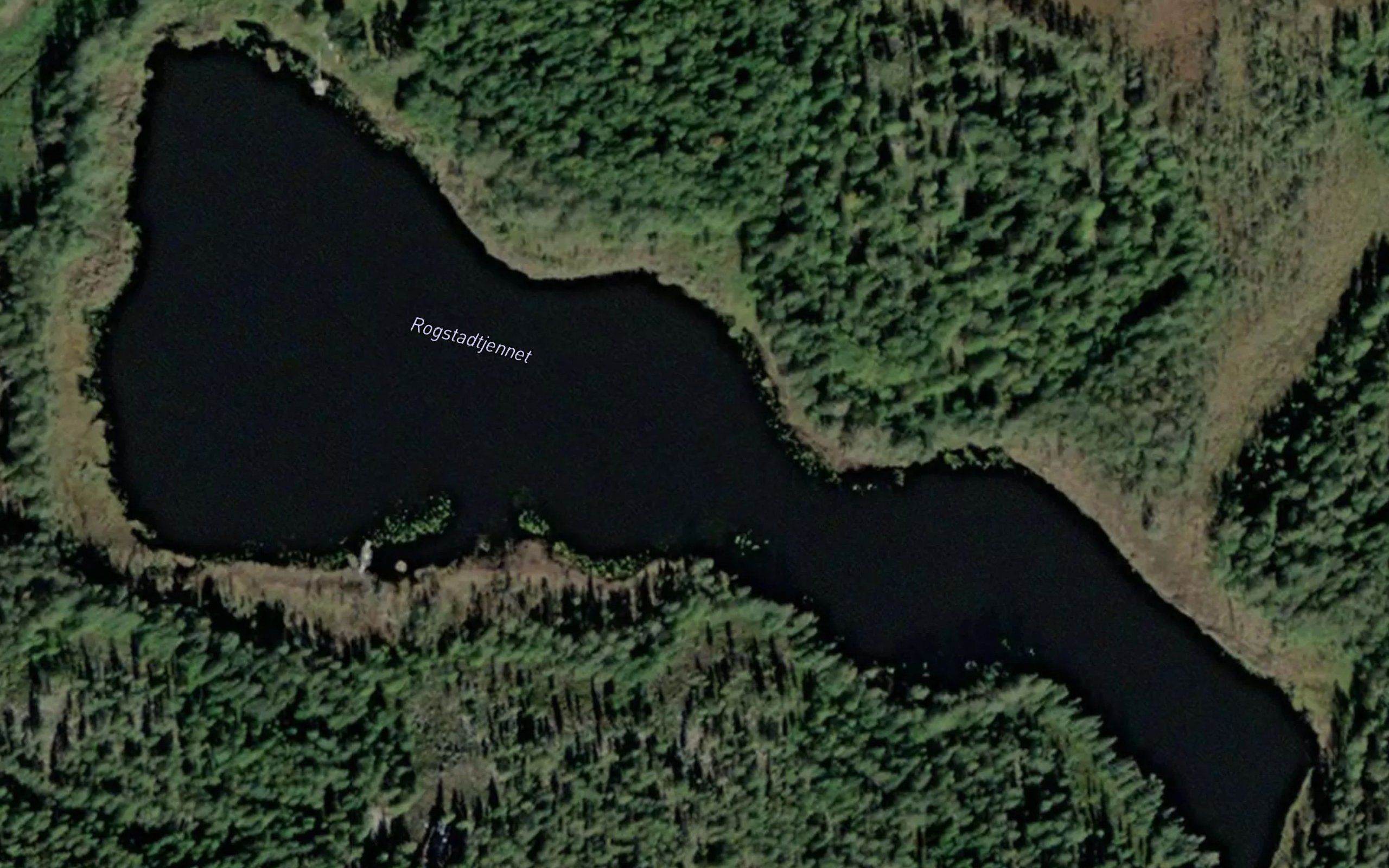 Rogstadtjernet
