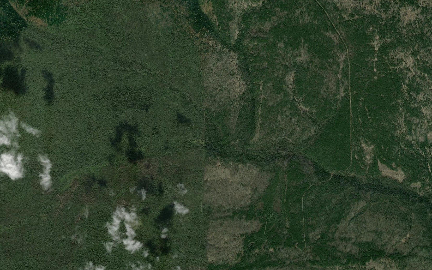 Satellite map of the Malaya Yamnaya