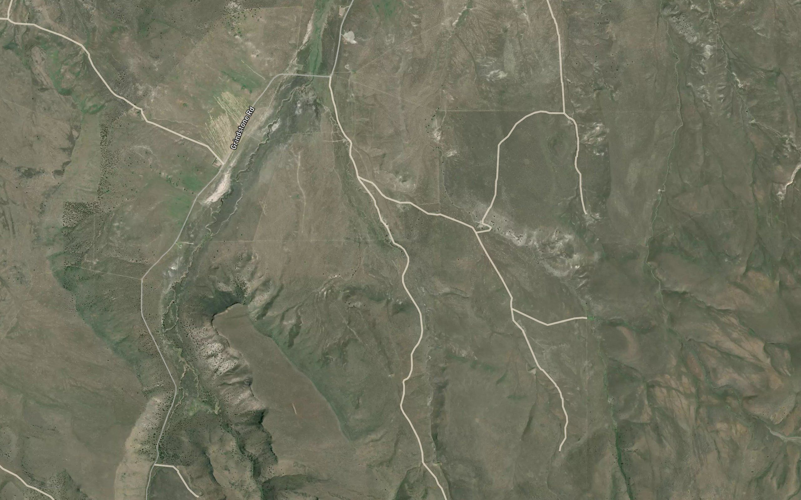 Coyote Spring