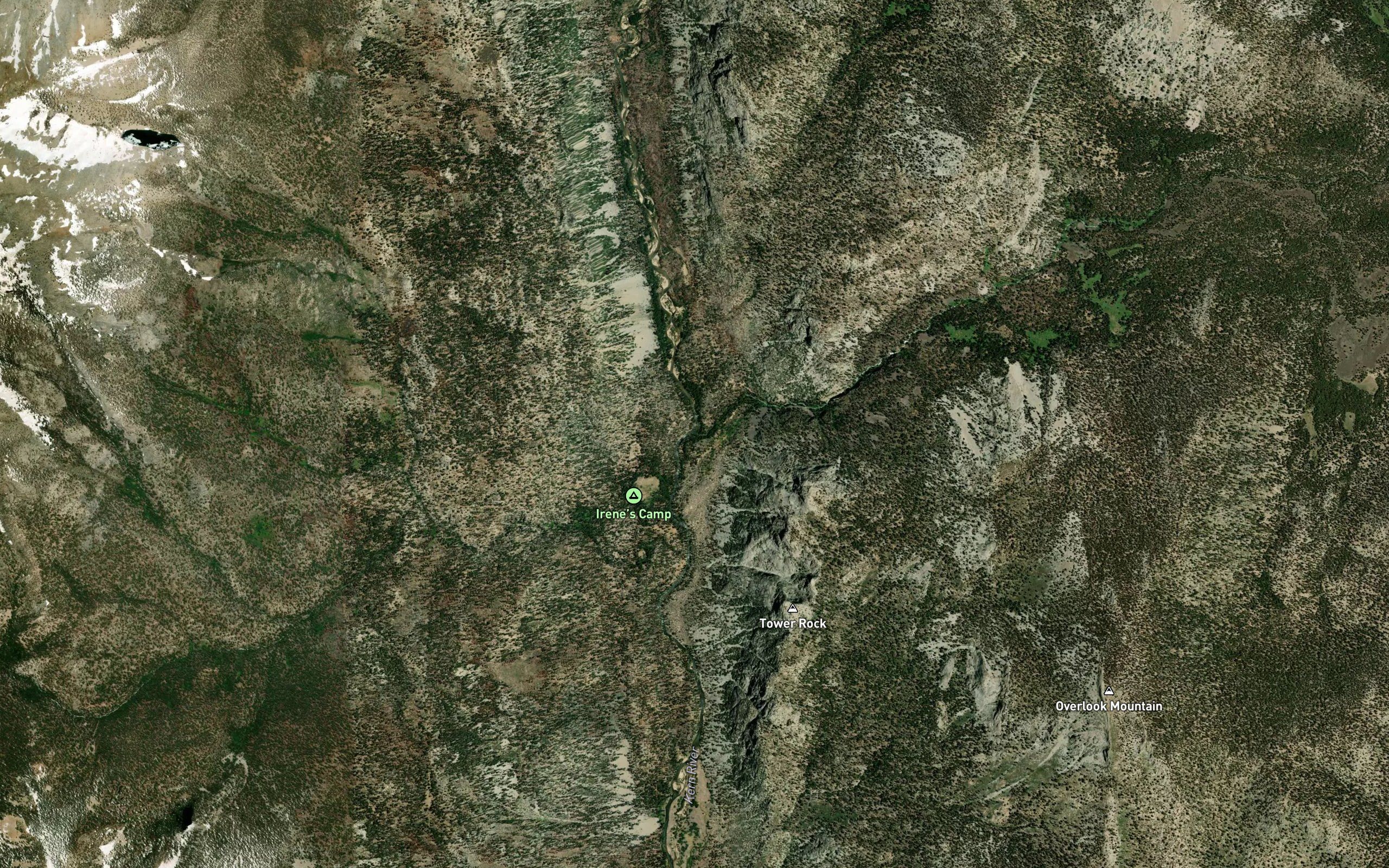 Golden Trout Creek