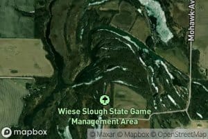 Wiese Slough