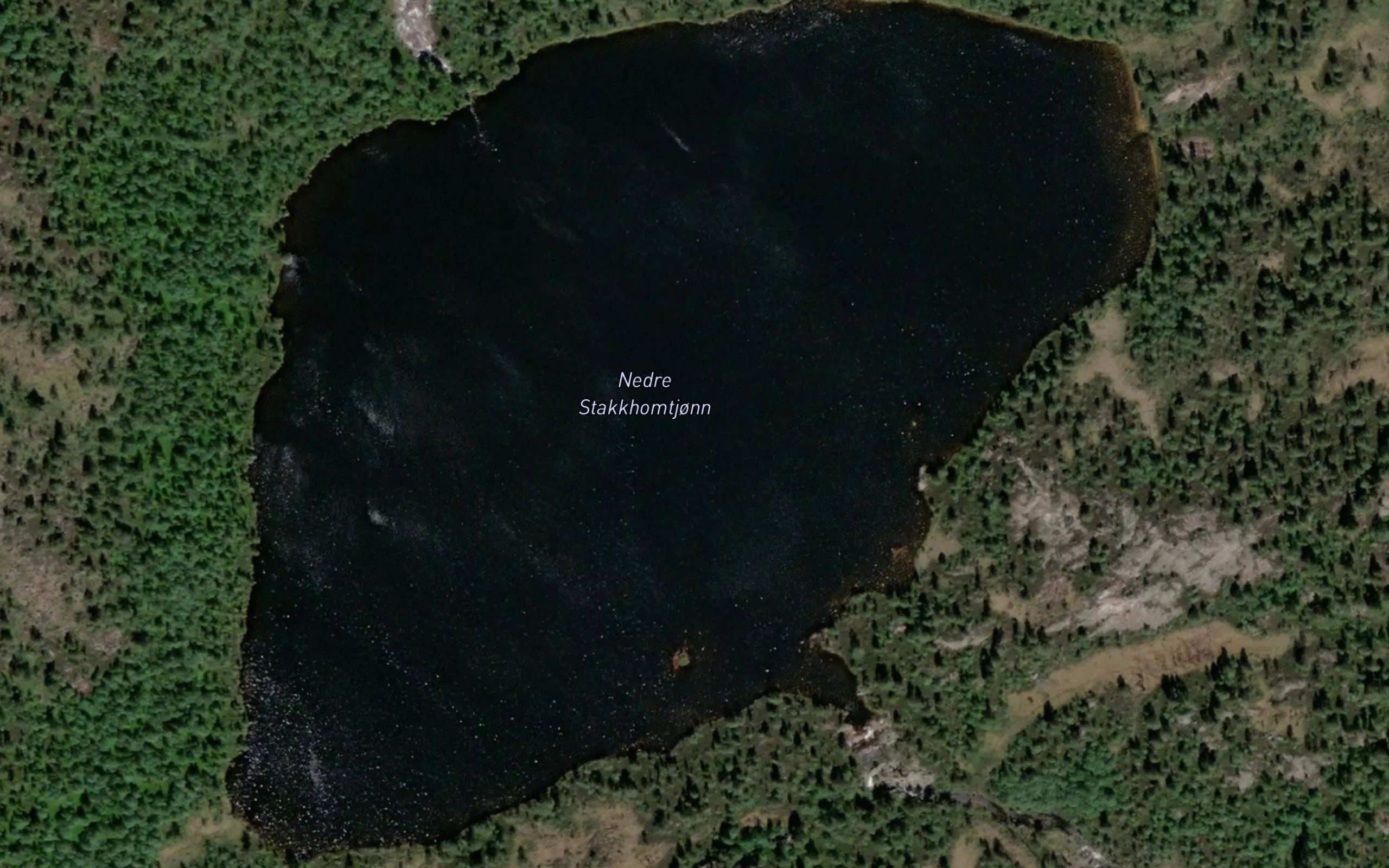Stakkhomtjorni,nedre