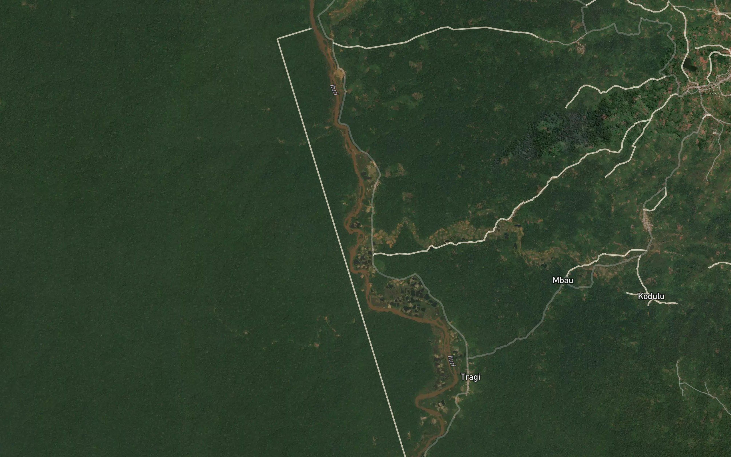 Kodulo