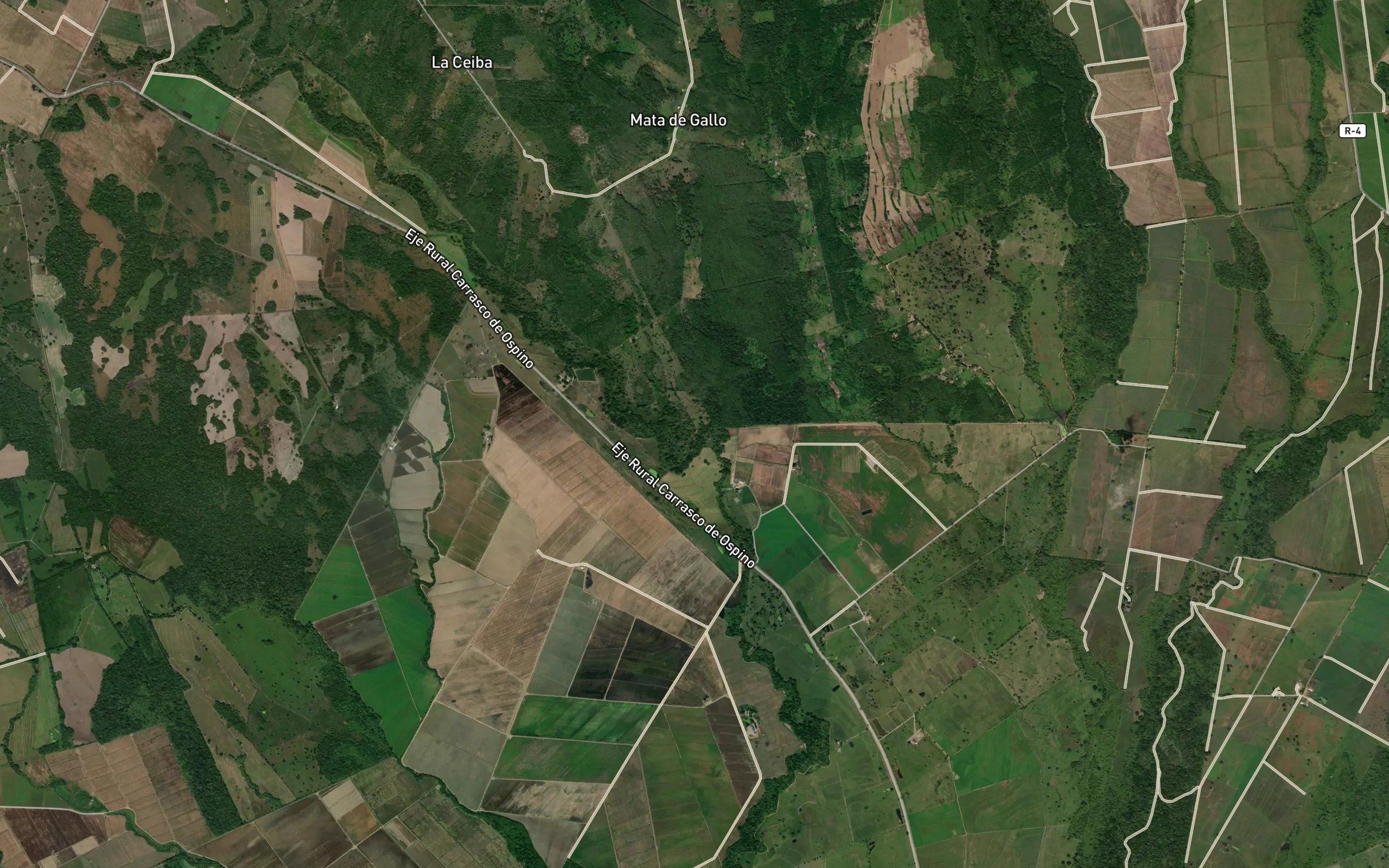 Cano La Ceiba