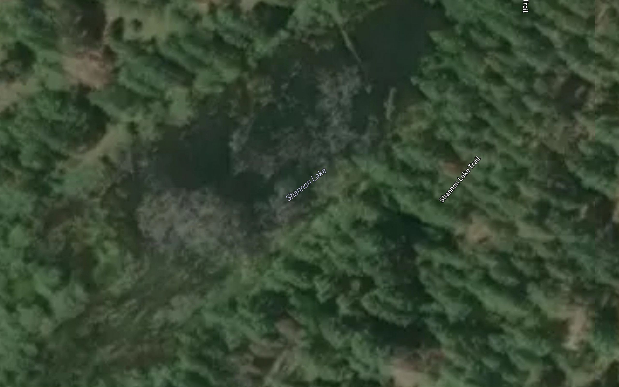 Shannon Lake