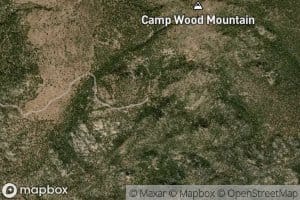 Camp Wood Mountain Spring
