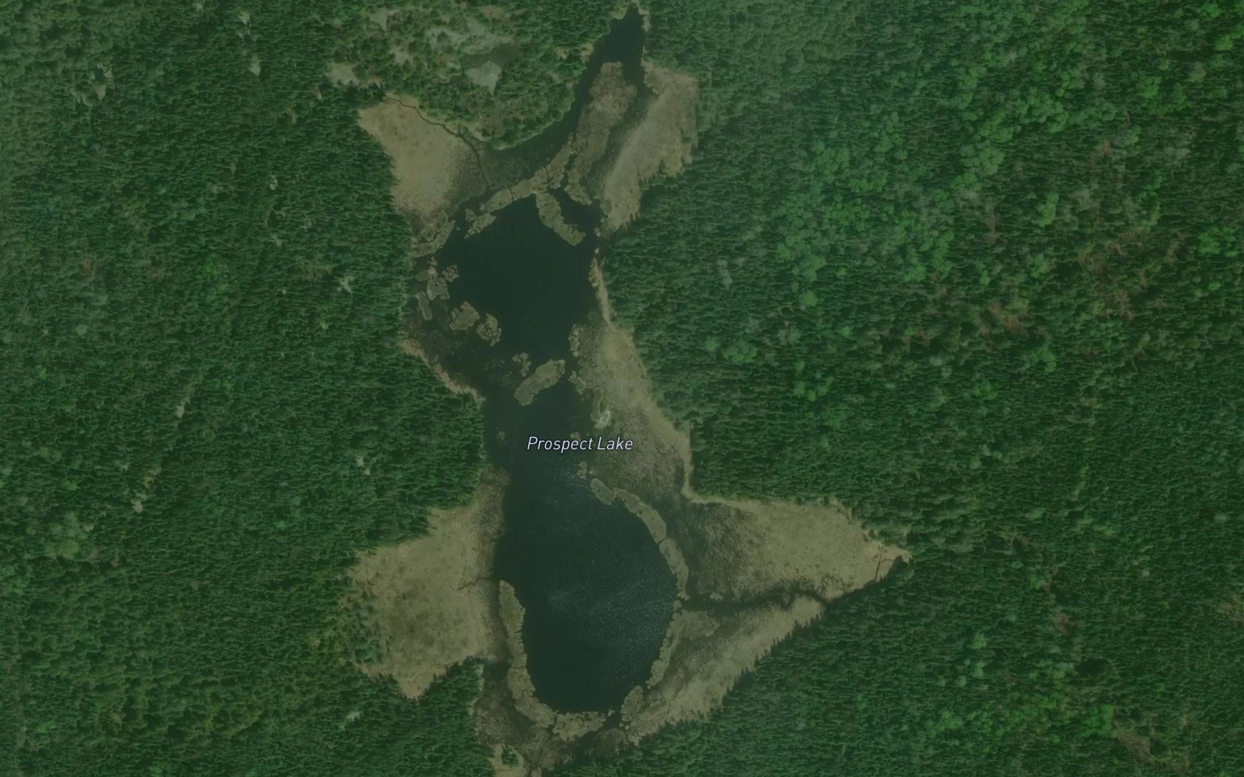 Satellite map of the Prospect Lake