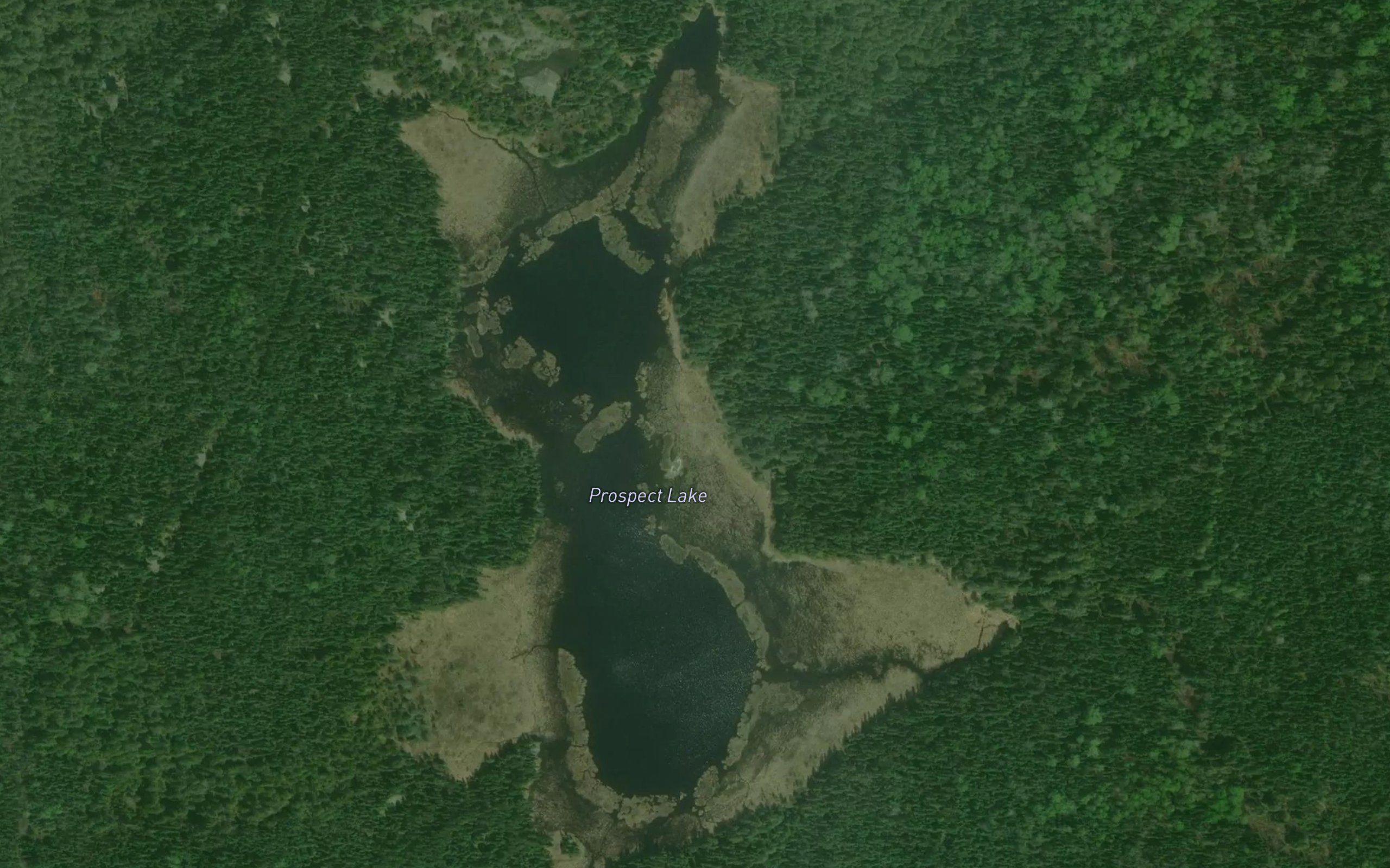 Prospect Lake