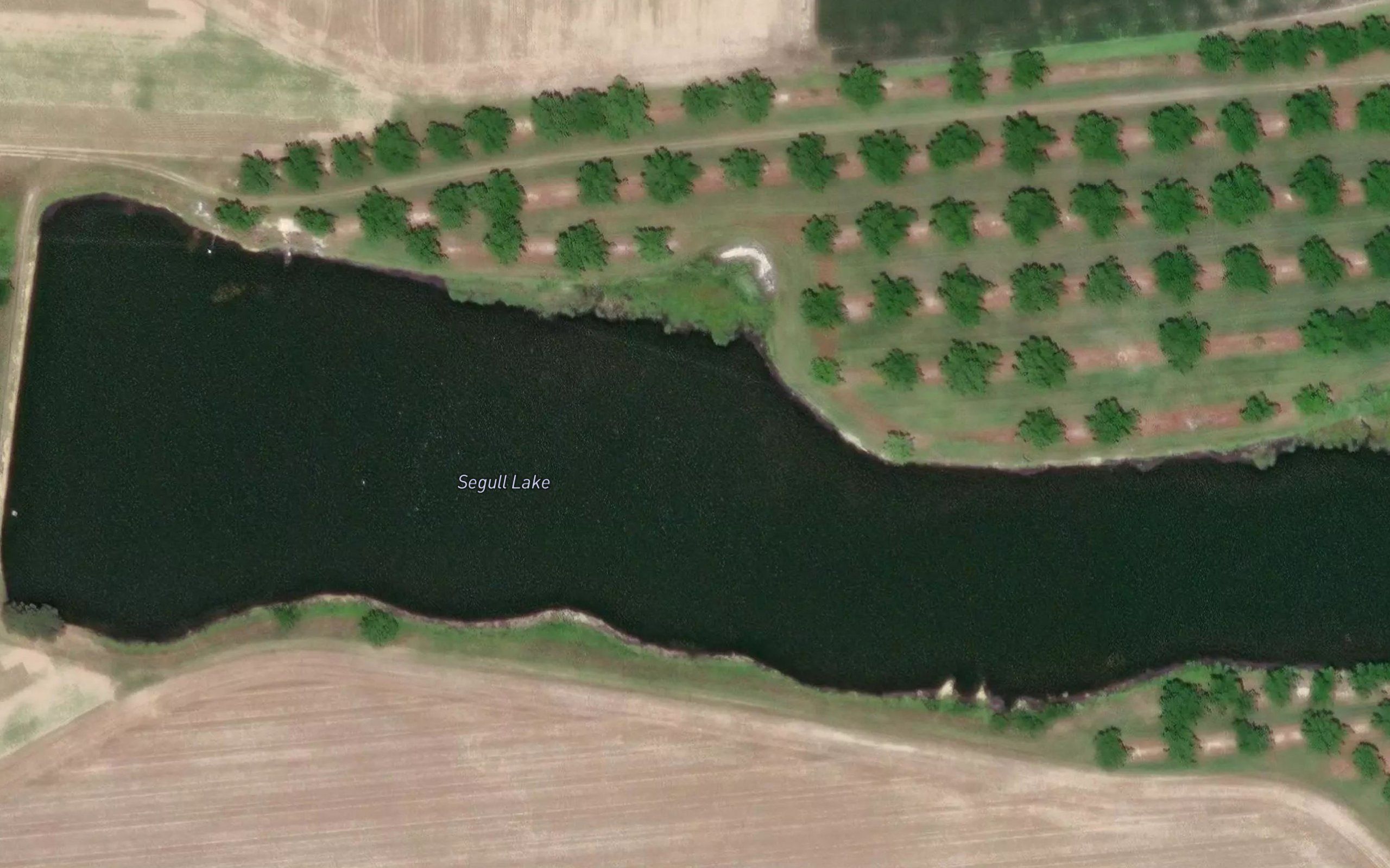 Segull Lake