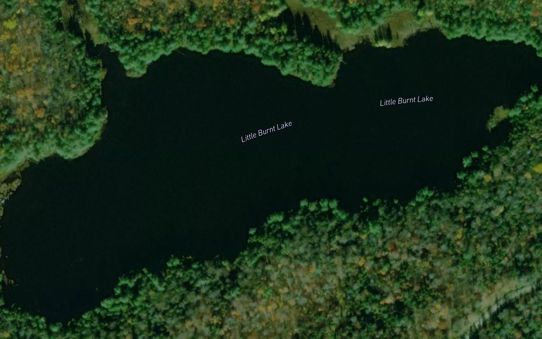 Satellite map of the Little Burnt Lake