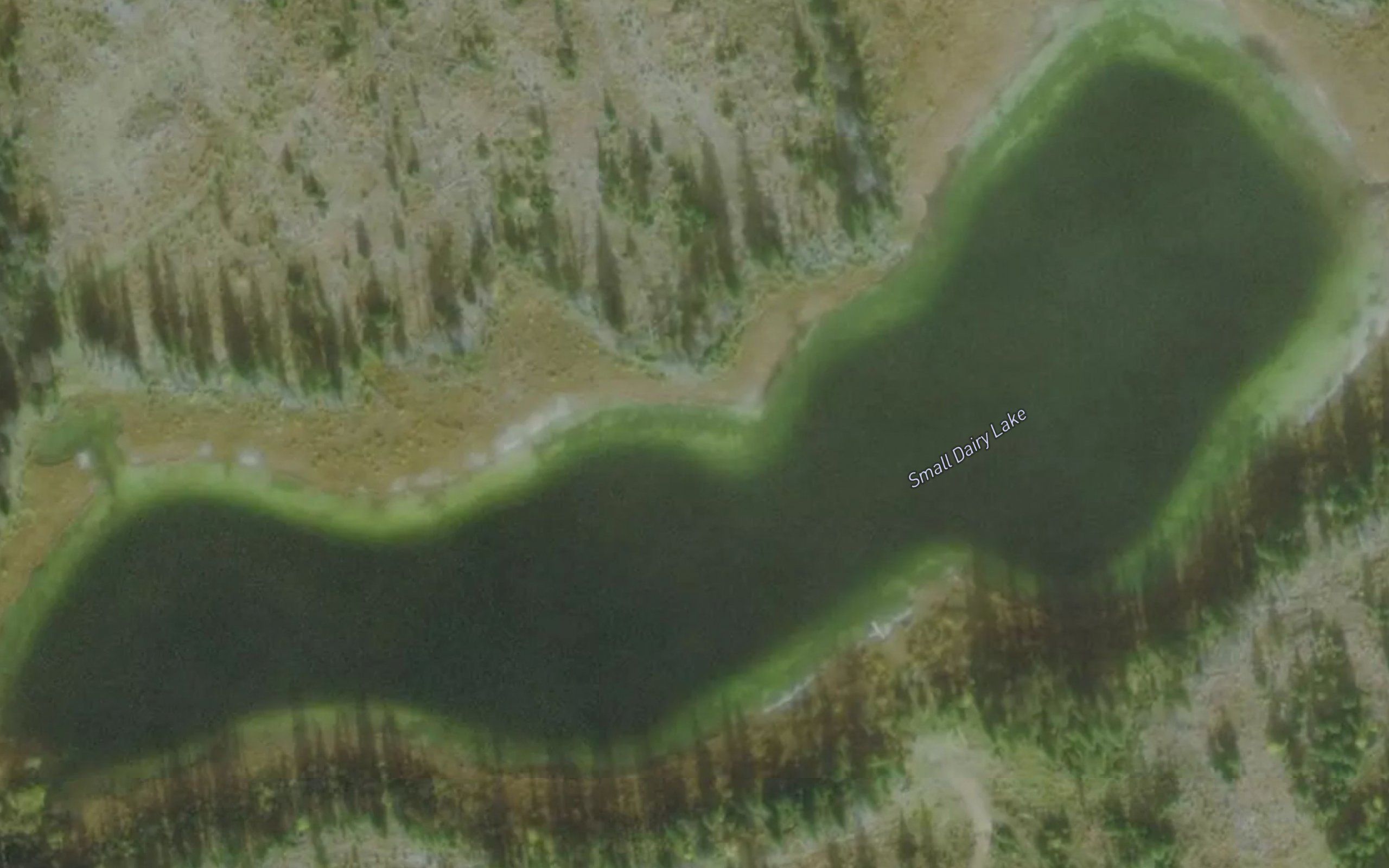 Small Dairy Lake