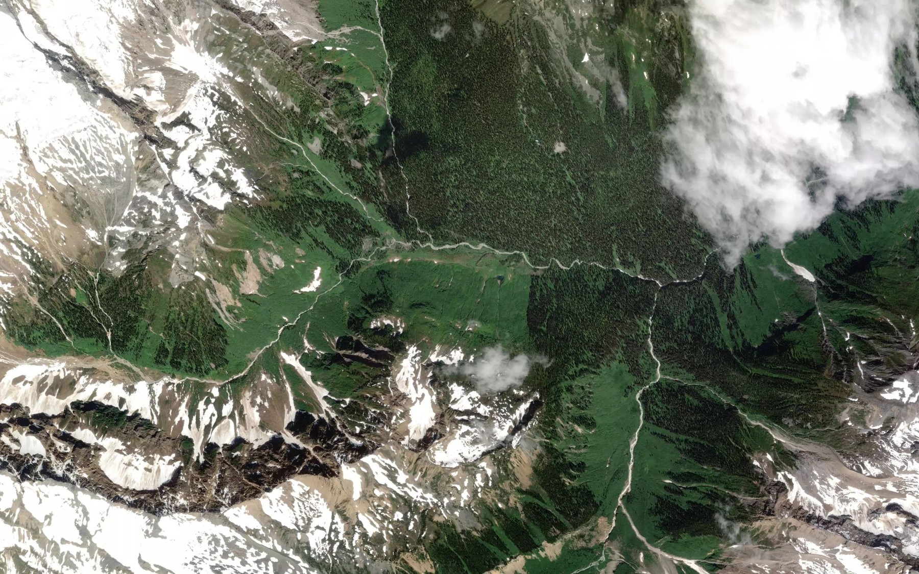 Satellite map of the Siwash Creek