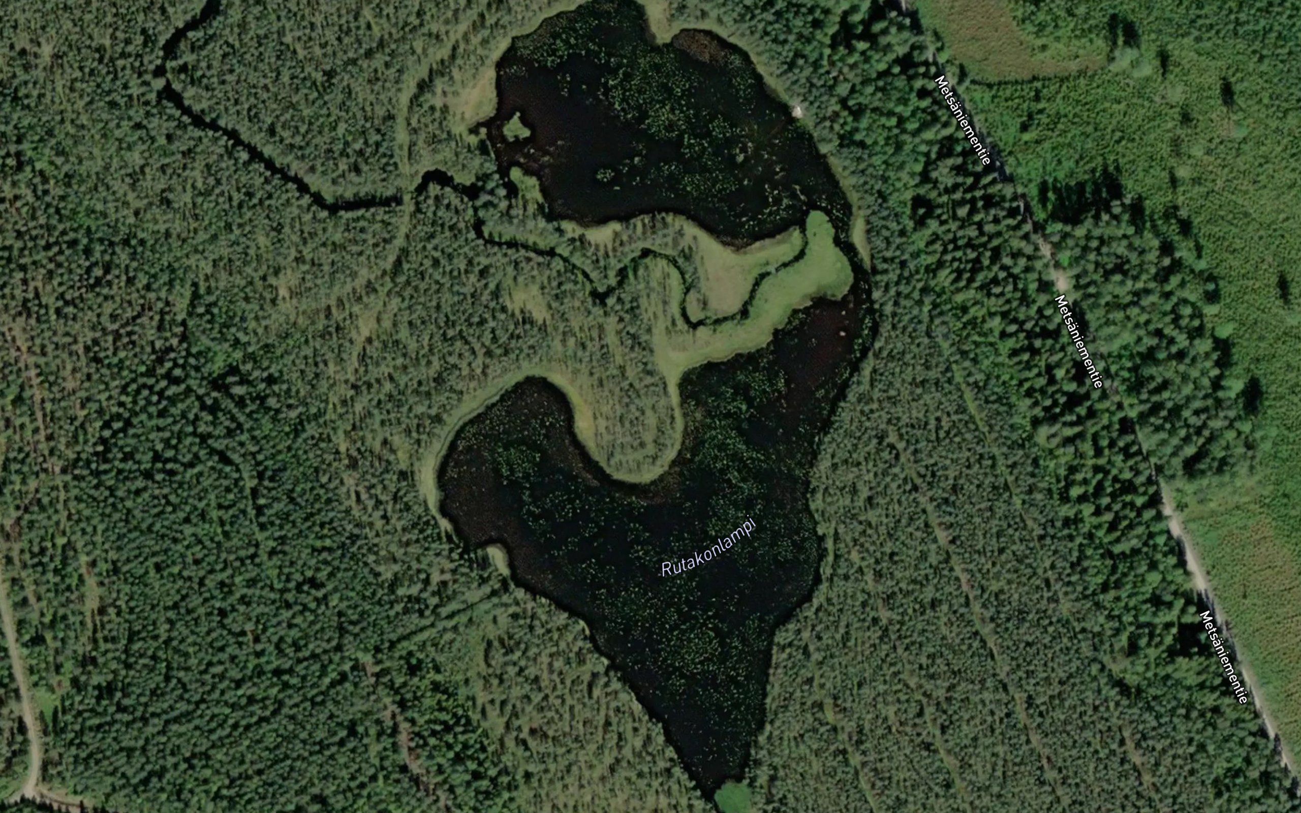 Rutakonlampi