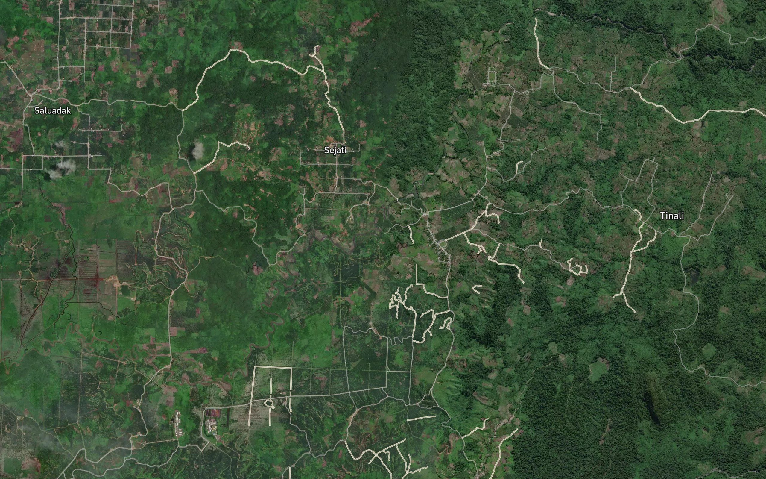 Salu Pattung