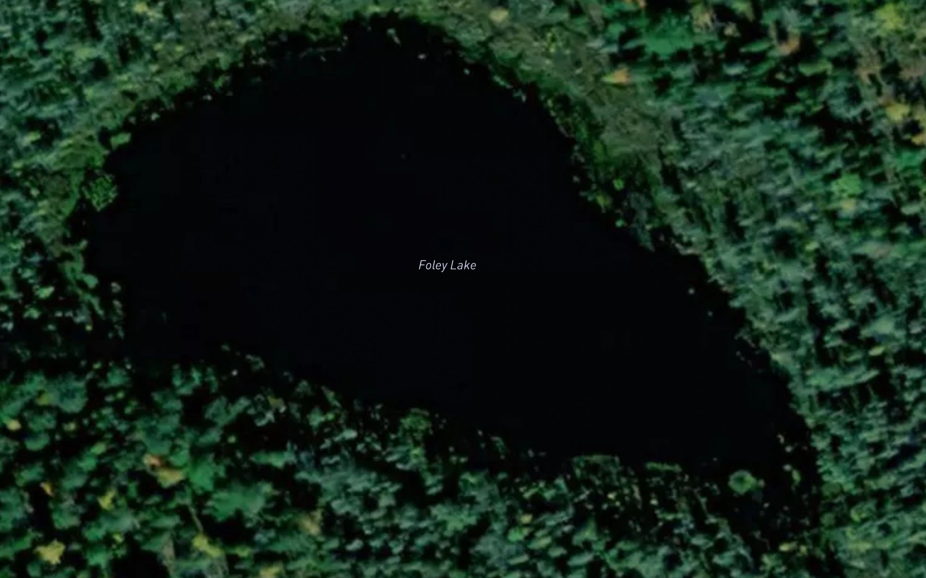 Satellite map of the Foley Lake