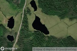 Ozero Liyeslampi