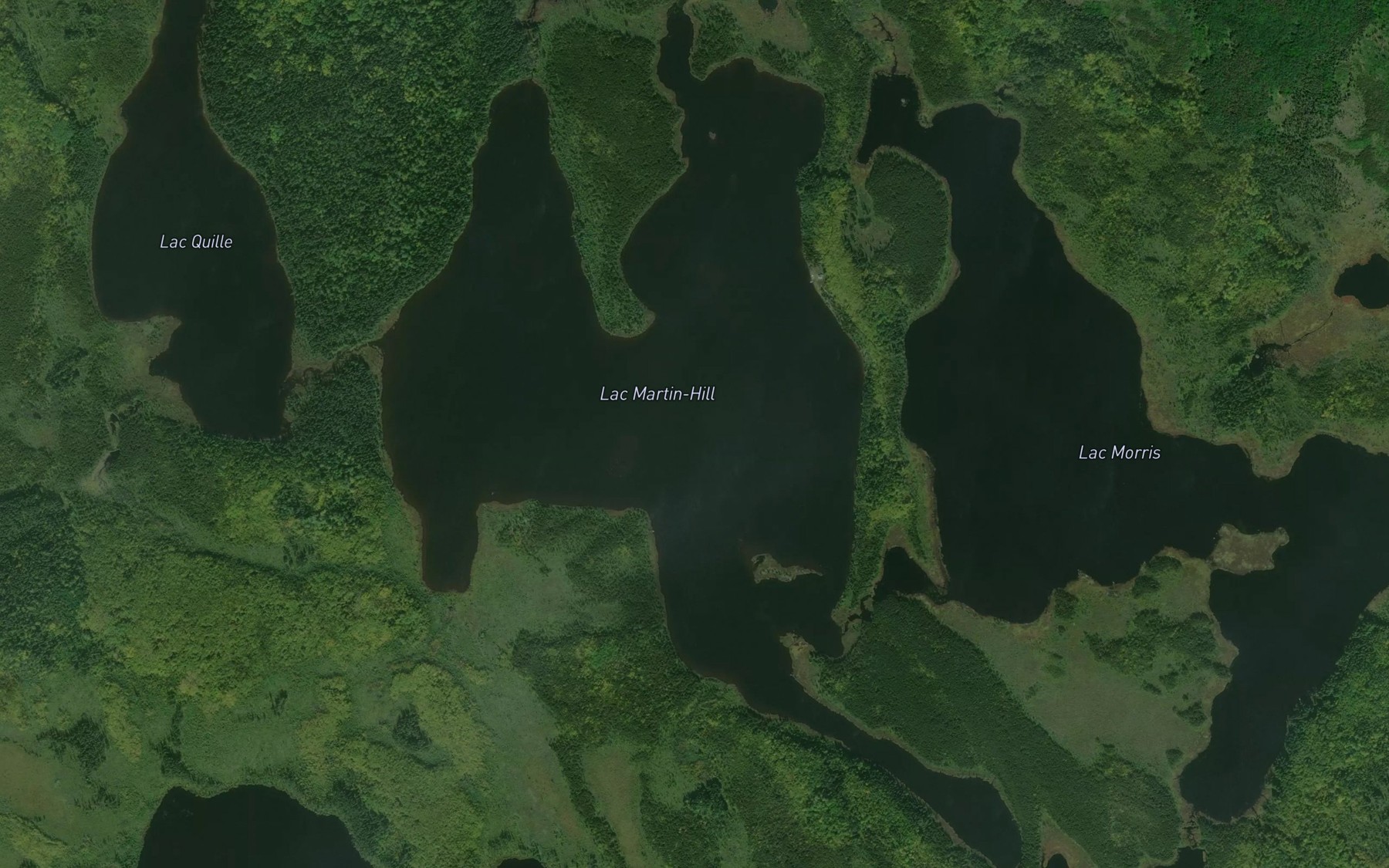 Satellite map of the Lac Martin-Hill