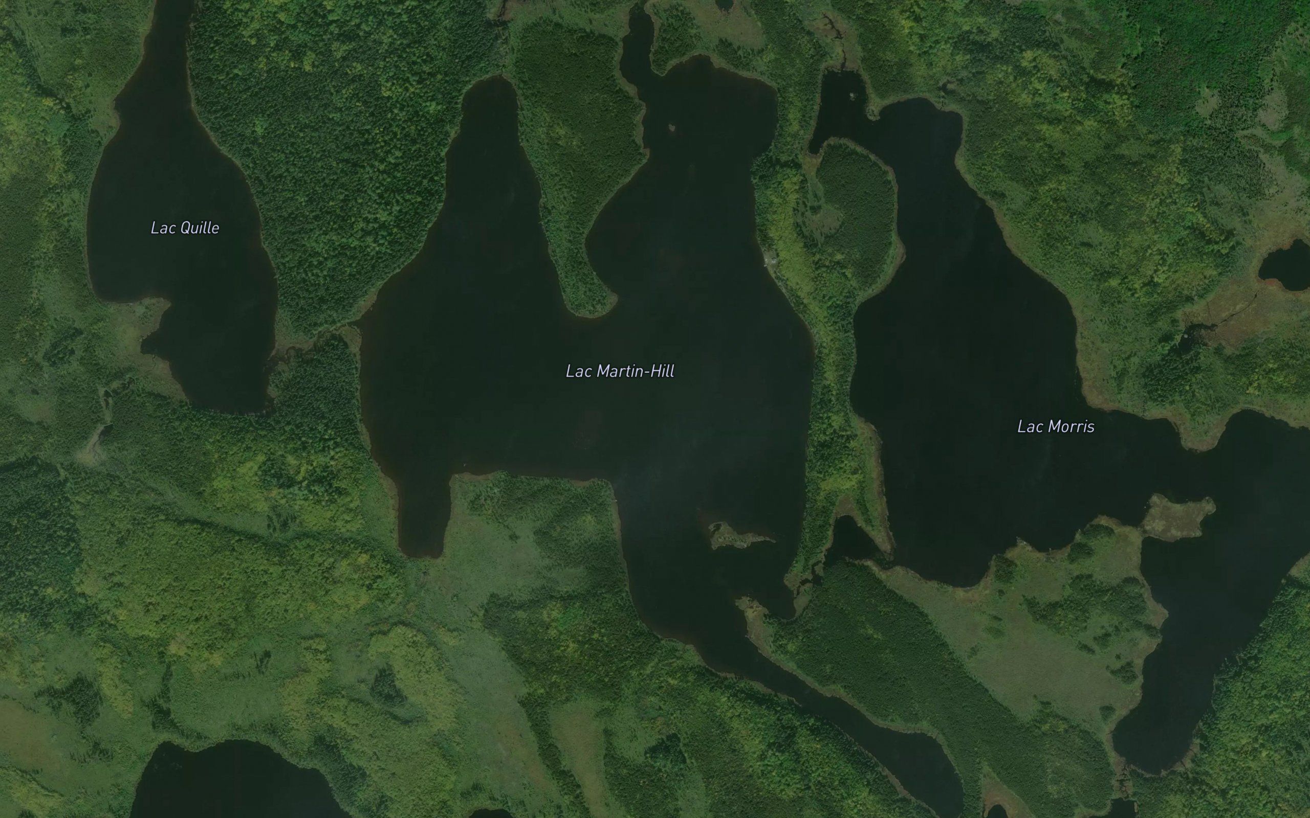 Lac Martin-Hill