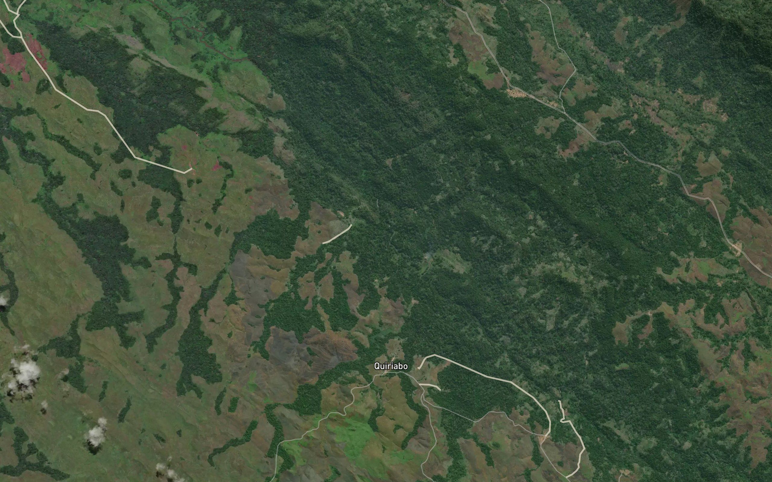 Zauila
