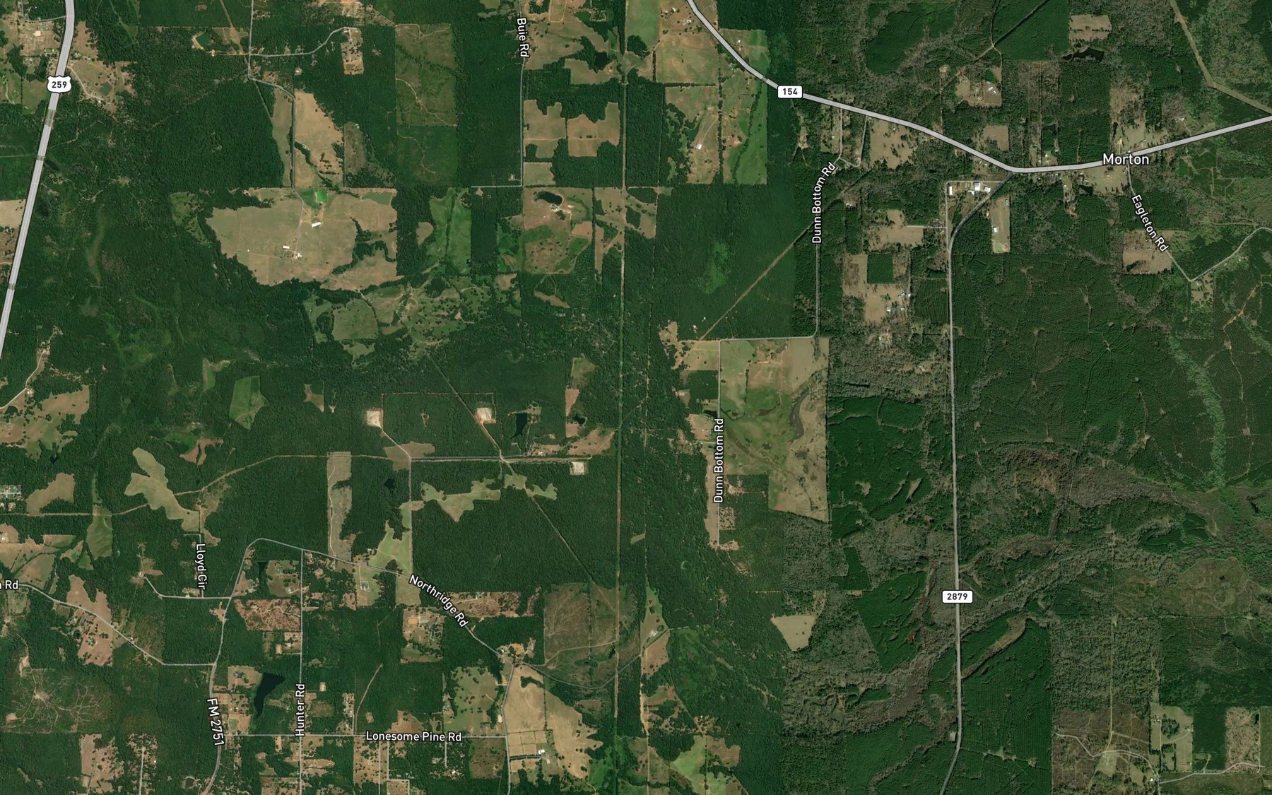 Satellite map of the Little Cypress Creek