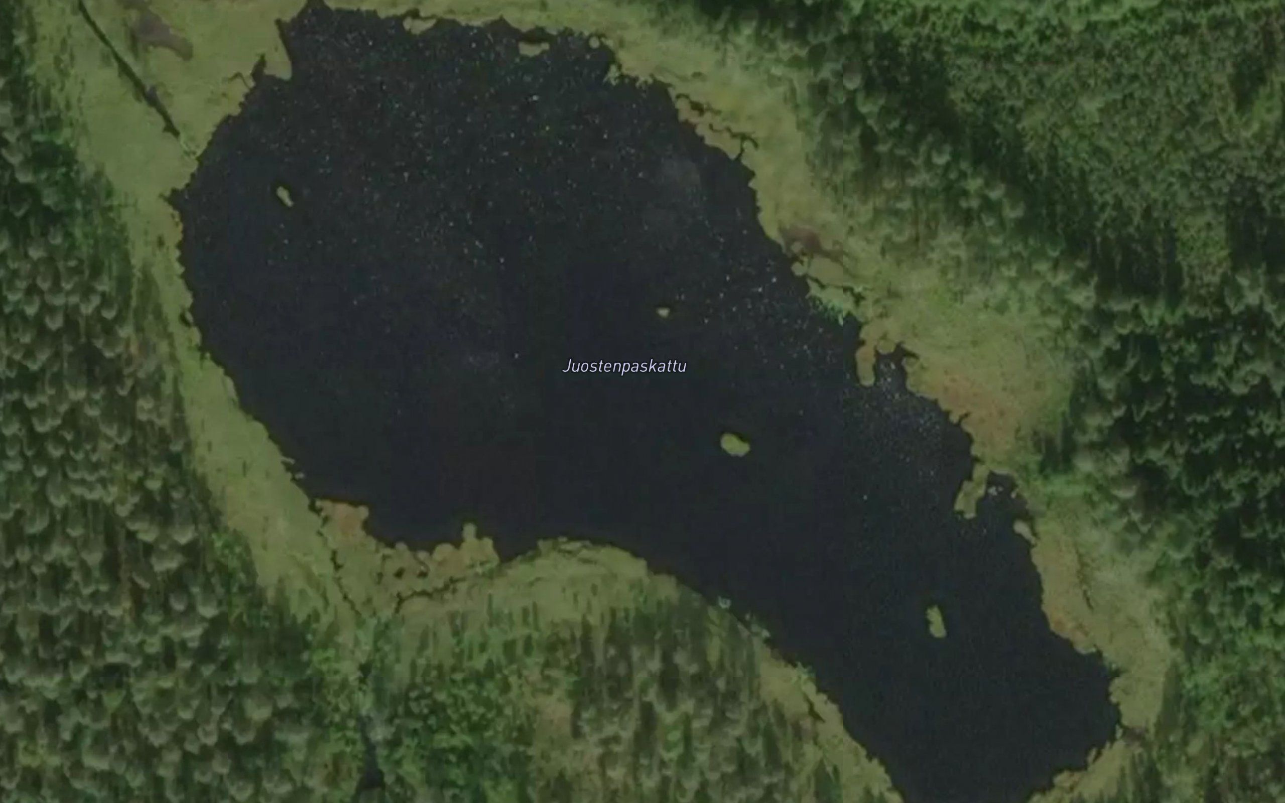 Juostenpaskattu
