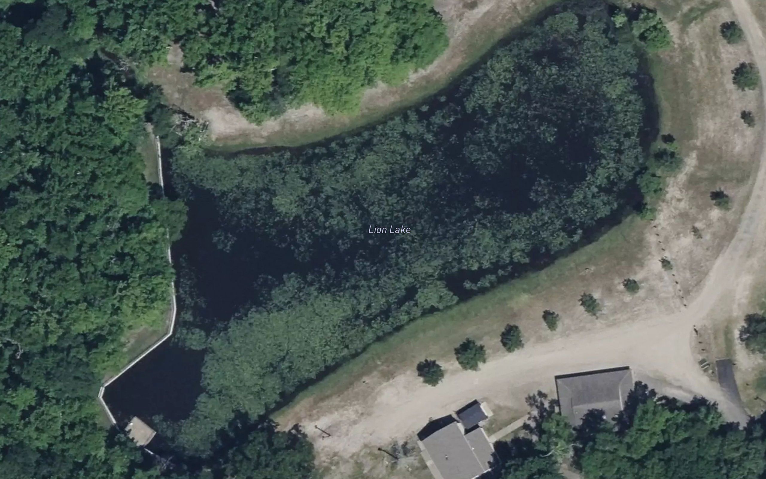 Lion Lake