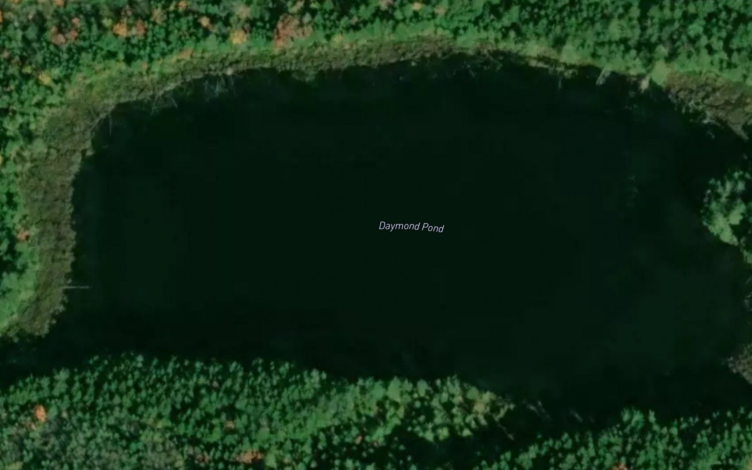 Daymond Pond