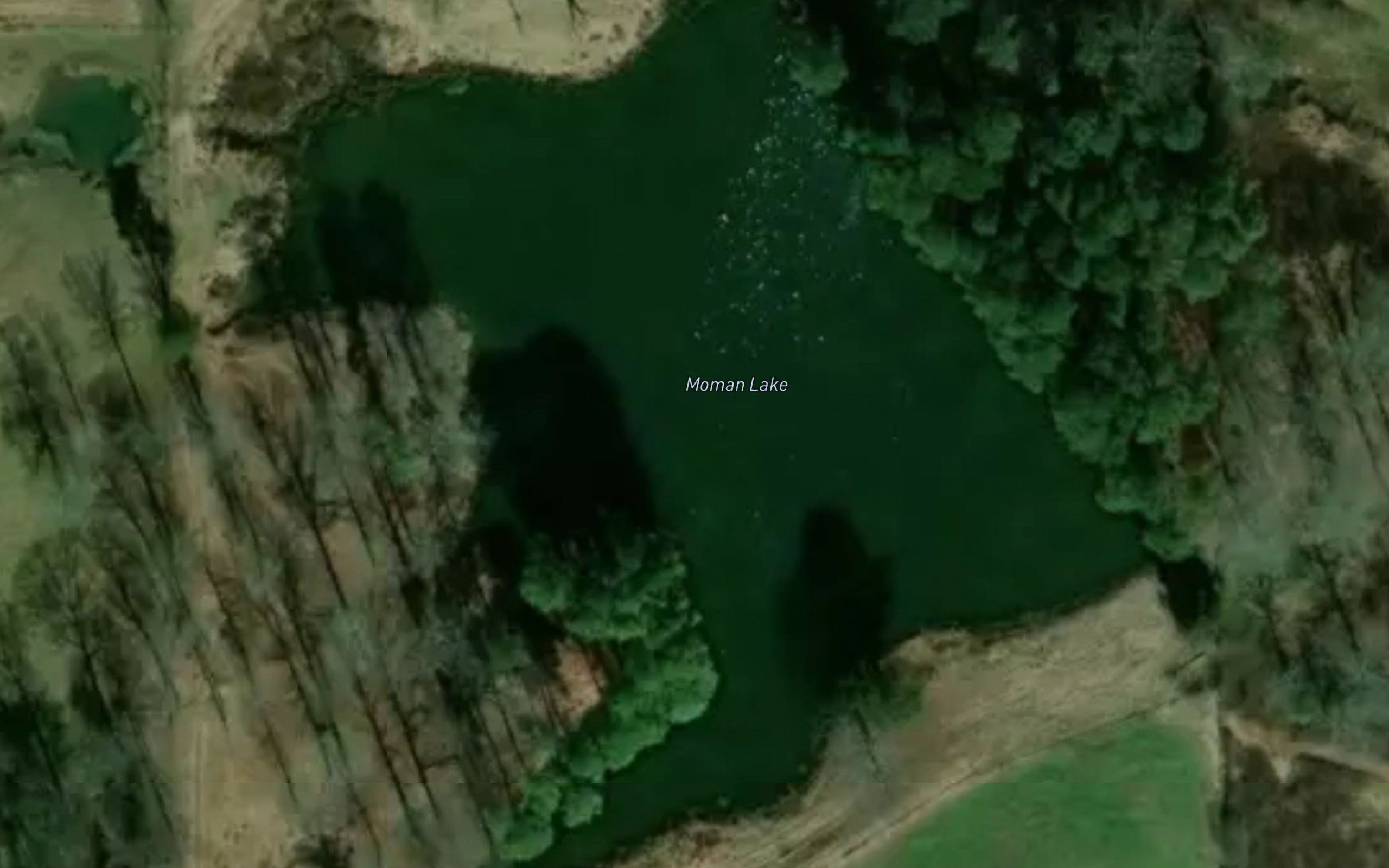 Moman Lake
