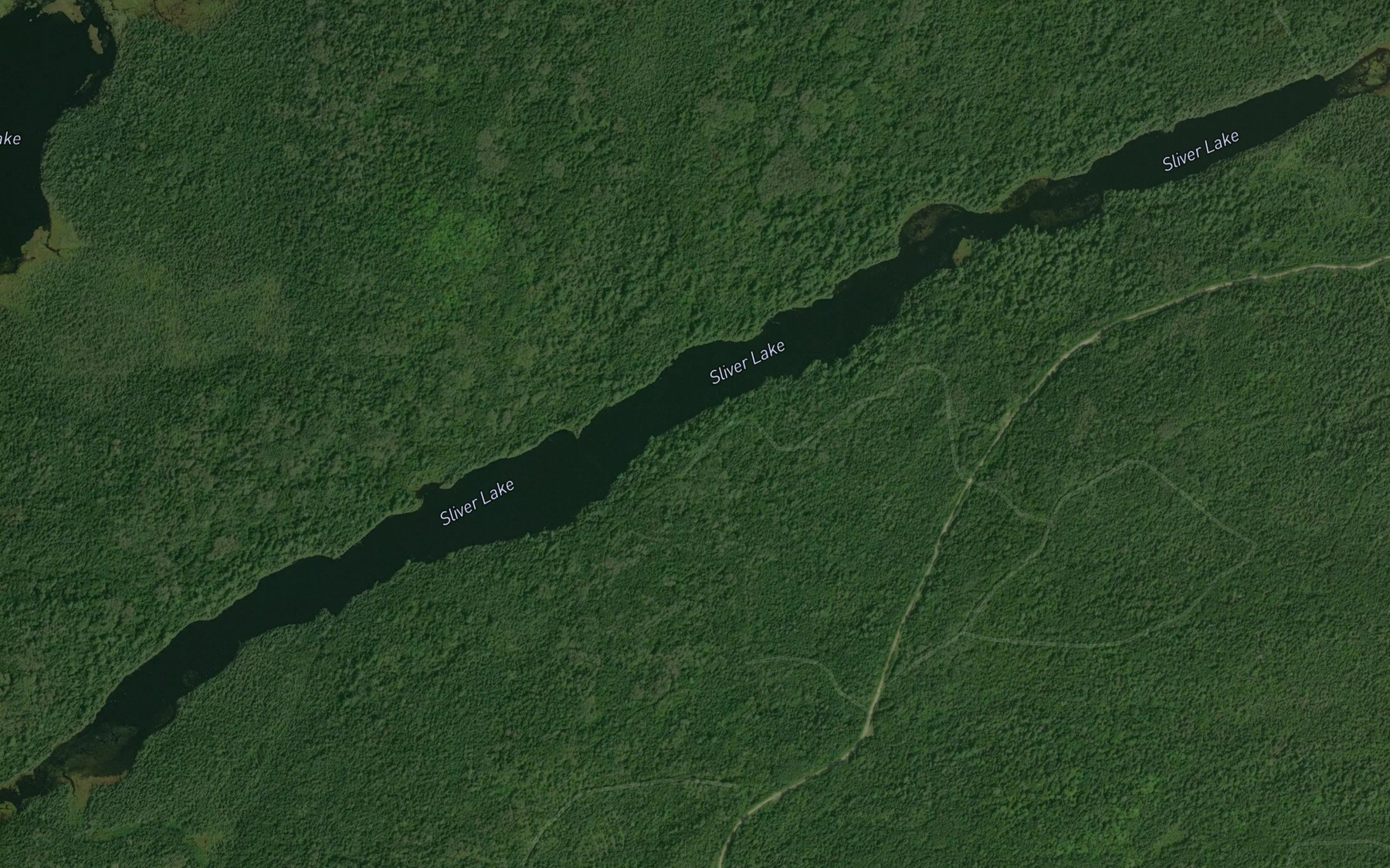 Satellite map of the Sliver Lake